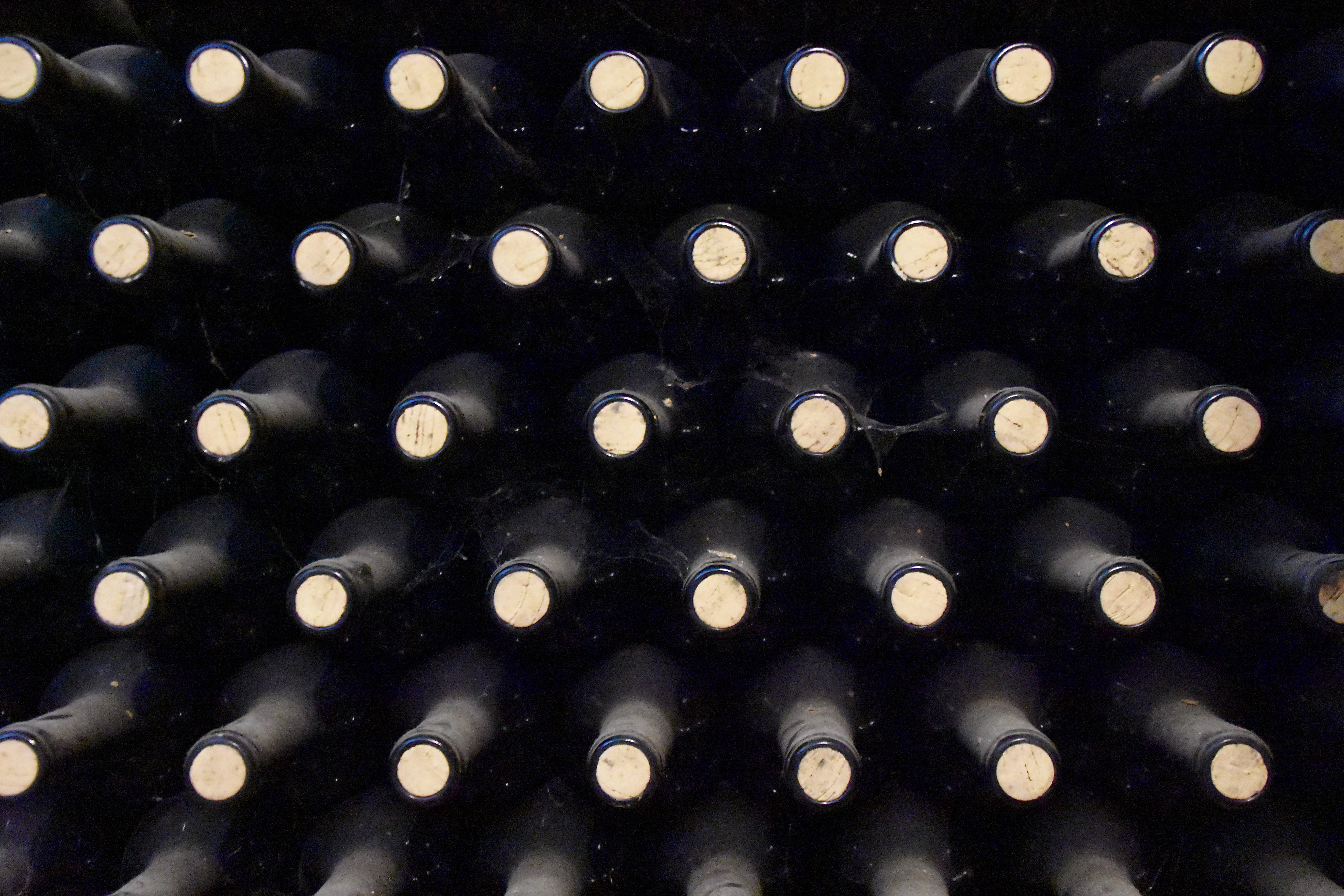 dark wine bottles, corked tops, cobwebs, 5K Desktop Wallpaper