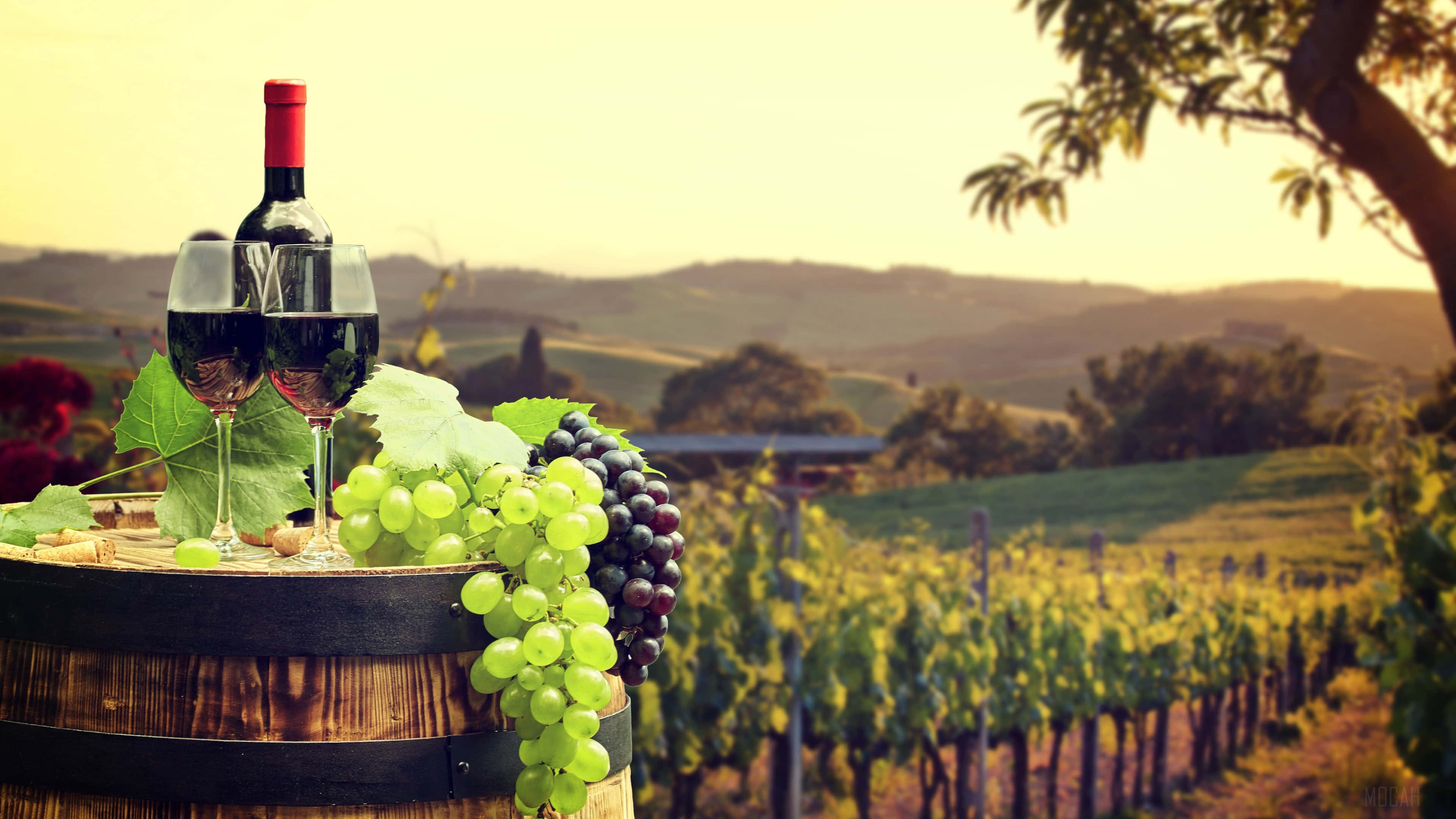 wooden barrel, wine glasses, bottle, 4K Desktop Wallpaper