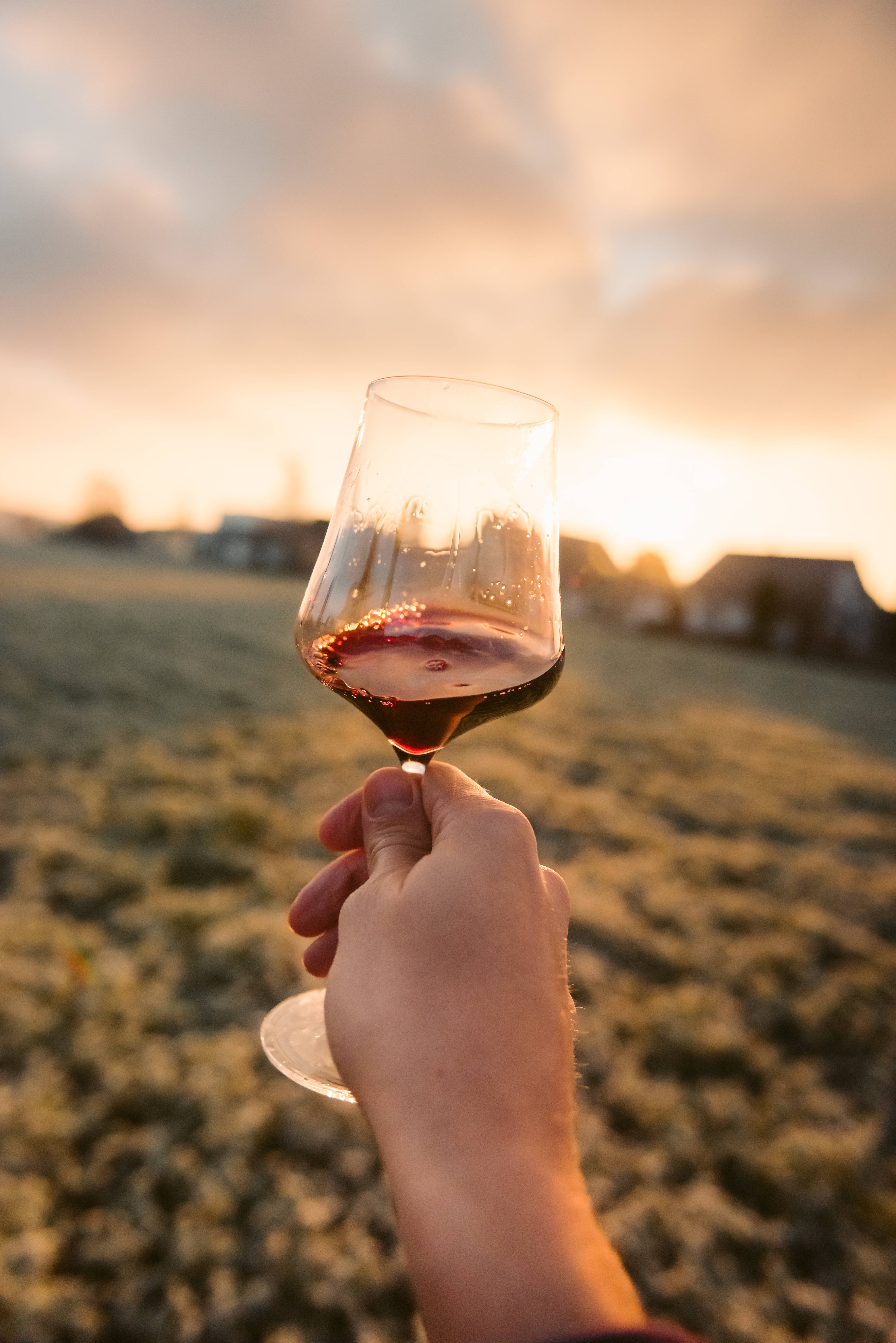 red wine, golden sunset, frosty field, 5K Phone Wallpaper