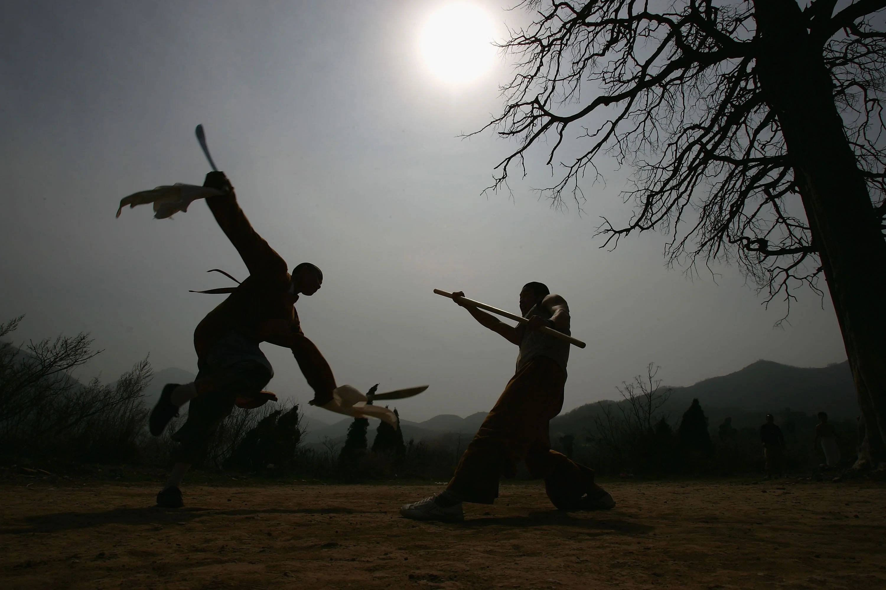 Wing Chun, silhouette, bright sun, 2K Desktop Wallpaper