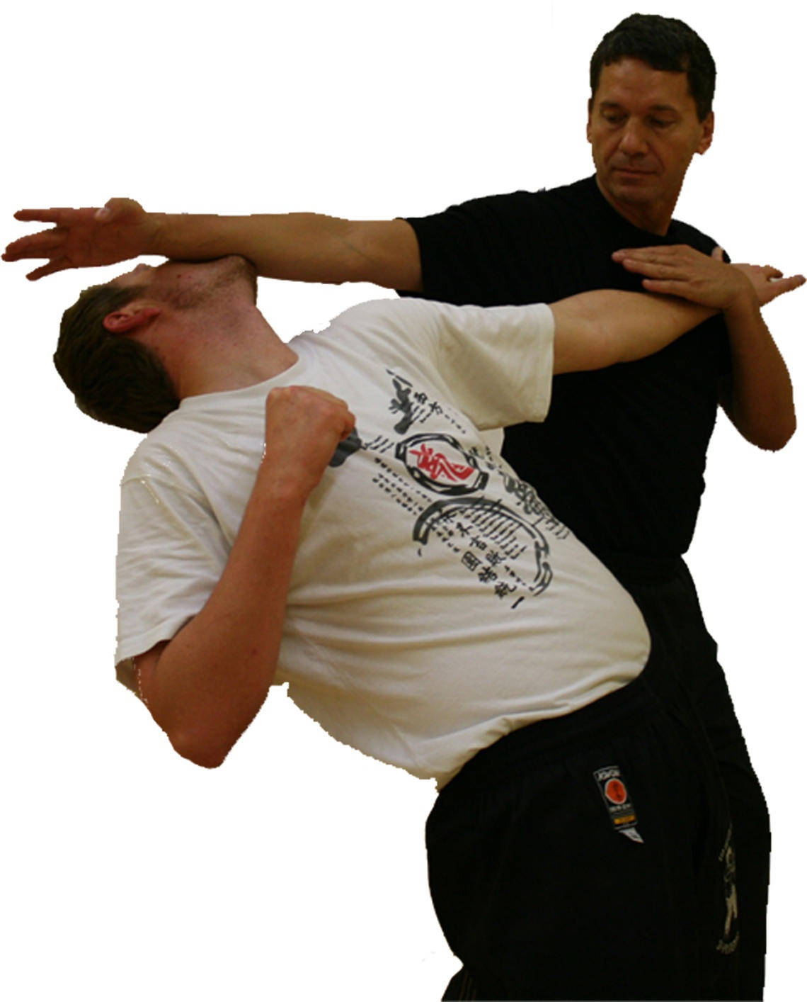 Wing Chun, grappling technique, martial arts training, HD Phone Wallpaper