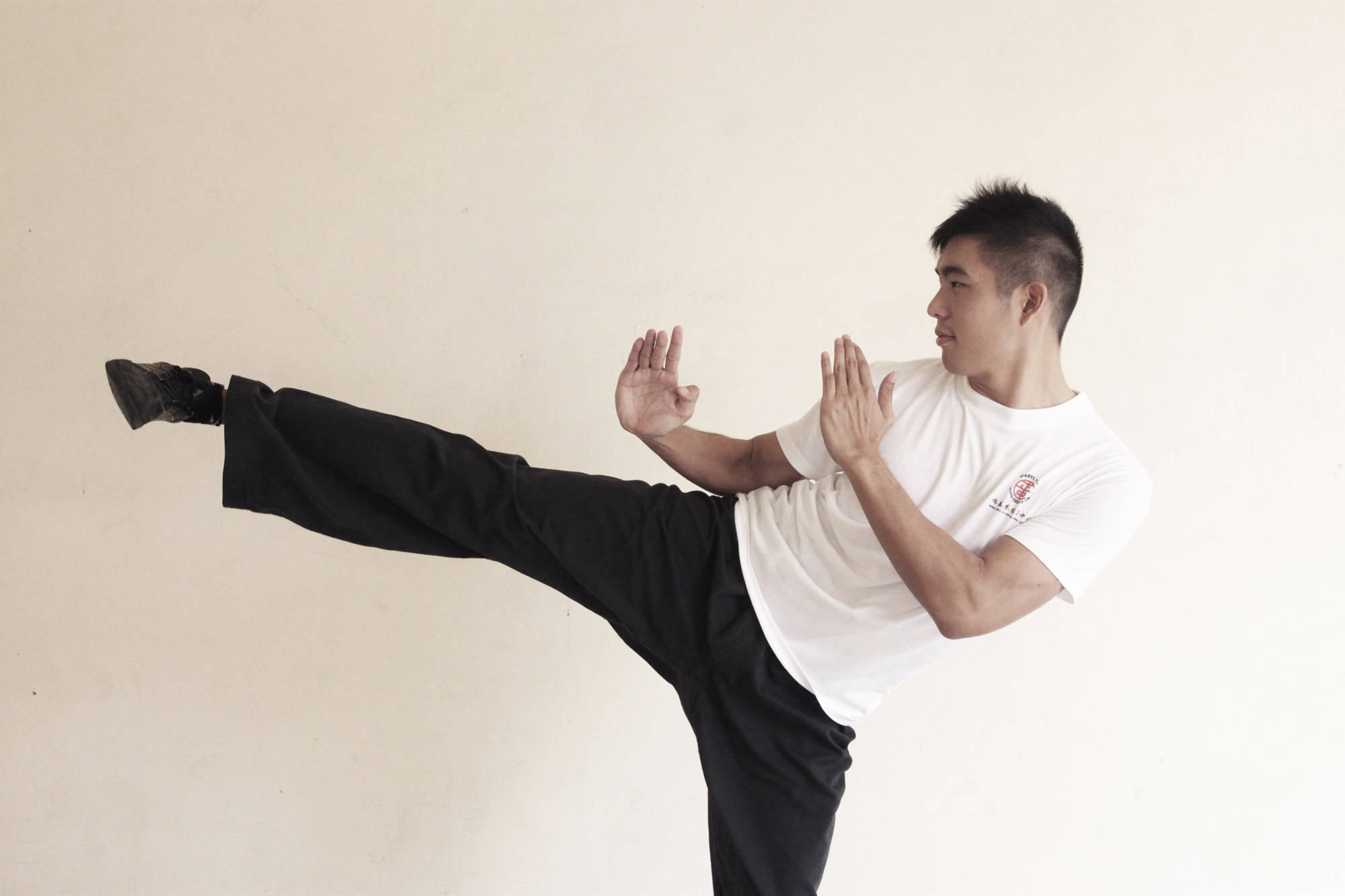 Wing Chun, high kick, white shirt, Full HD Desktop Wallpaper