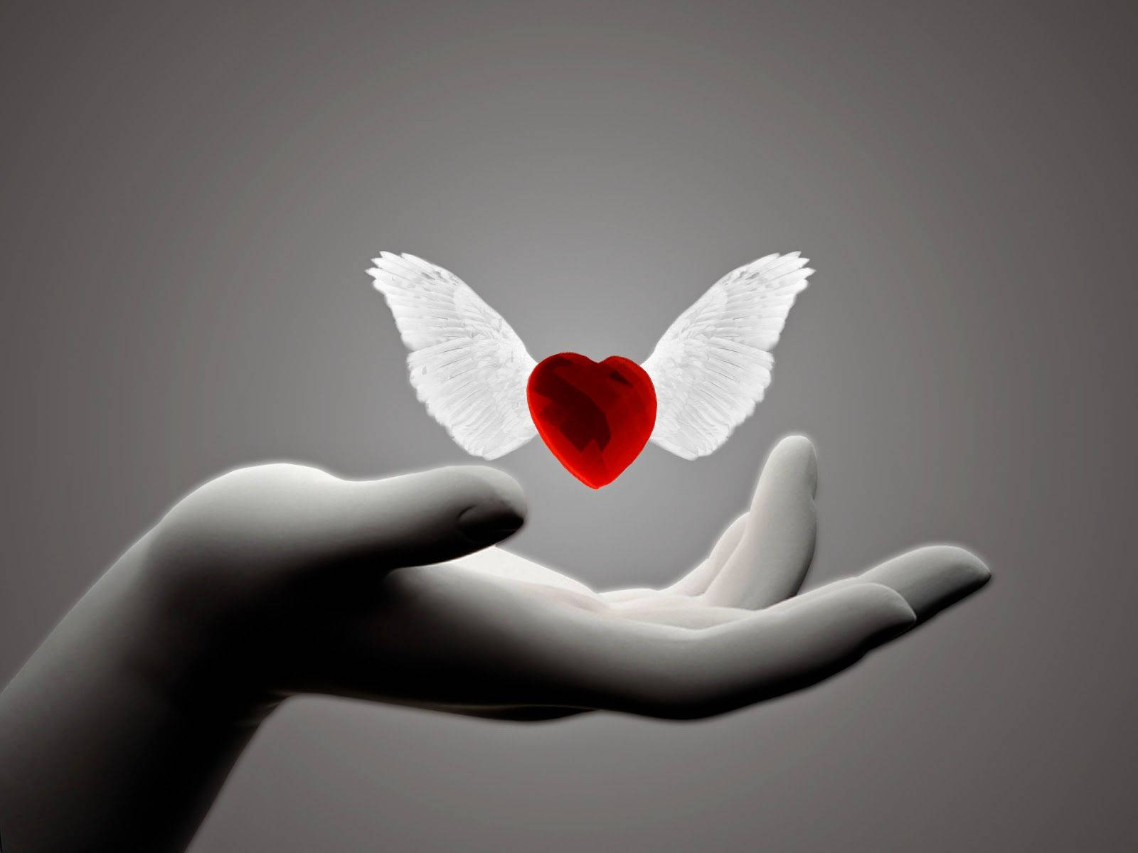 WhatsApp DP, winged-red heart, glowing red heart, HD Desktop Wallpaper