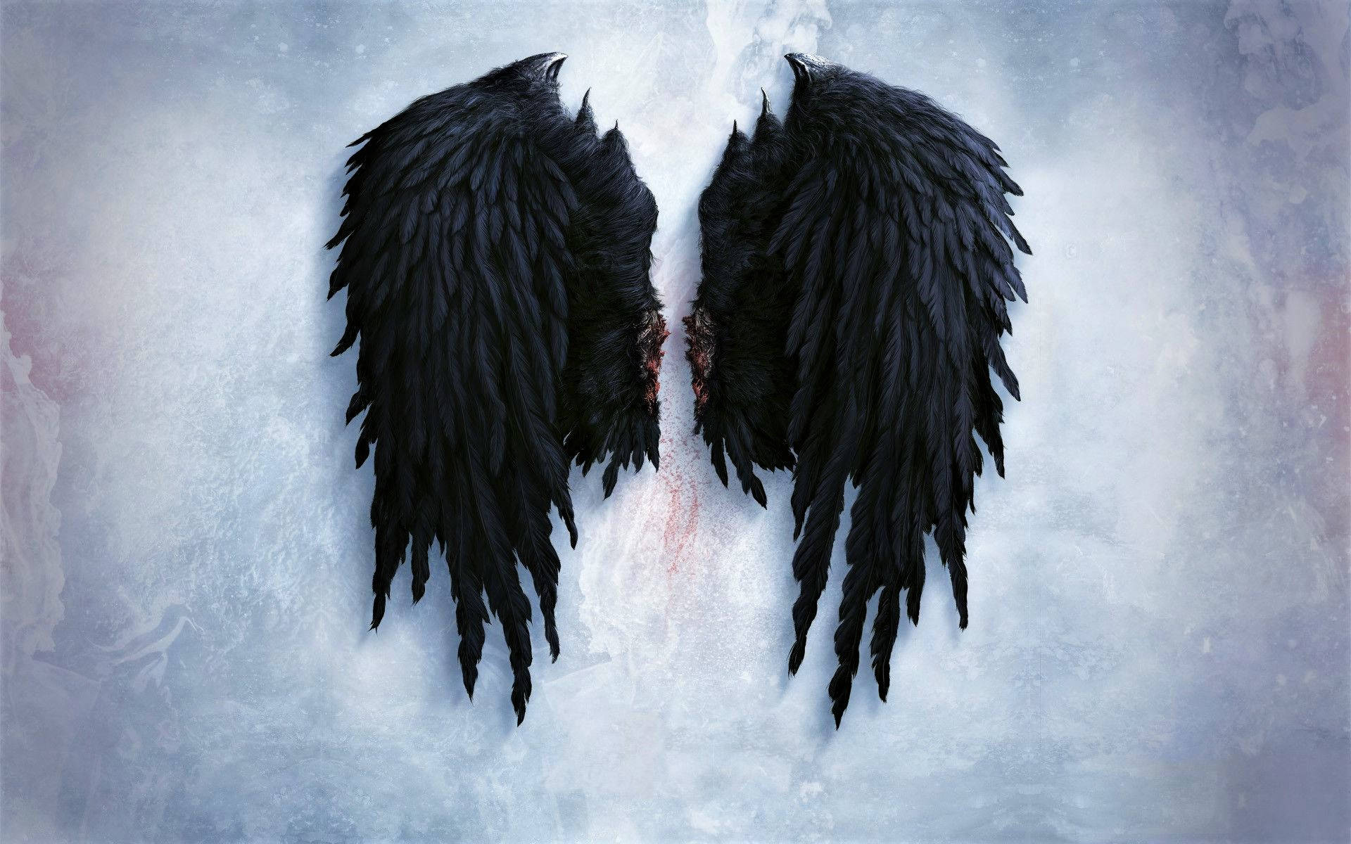 black broken wings, feathered wings, icy blue and white background, Full HD Desktop Wallpaper
