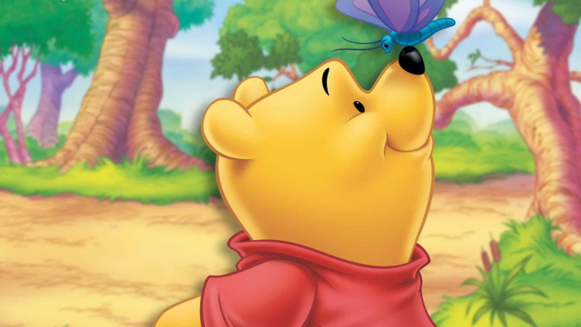 Winnie The Pooh, purple butterfly, sunlit forest clearing, Full HD Desktop Wallpaper