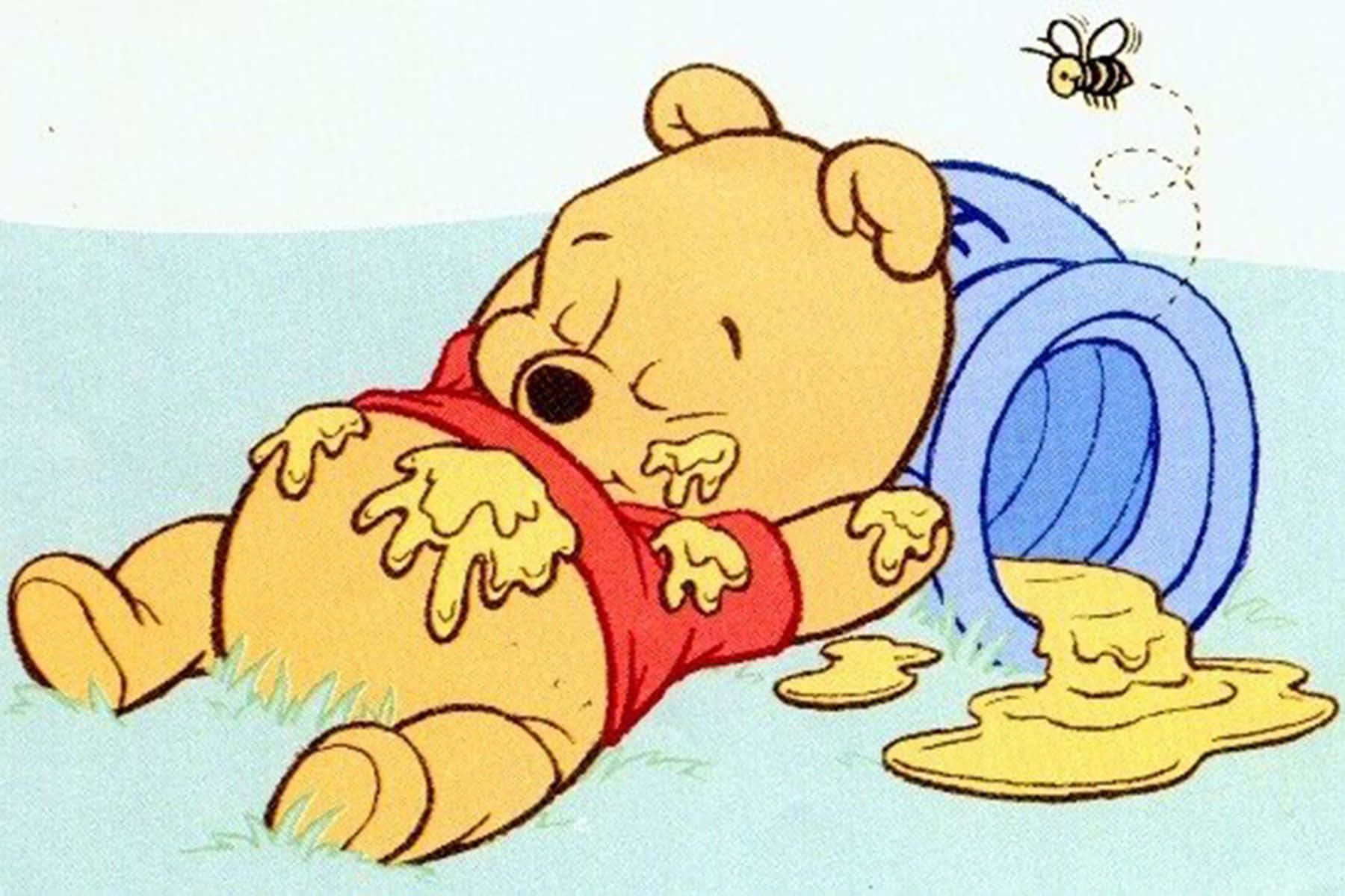 Winnie The Pooh, honey pot, bee, HD Desktop Wallpaper