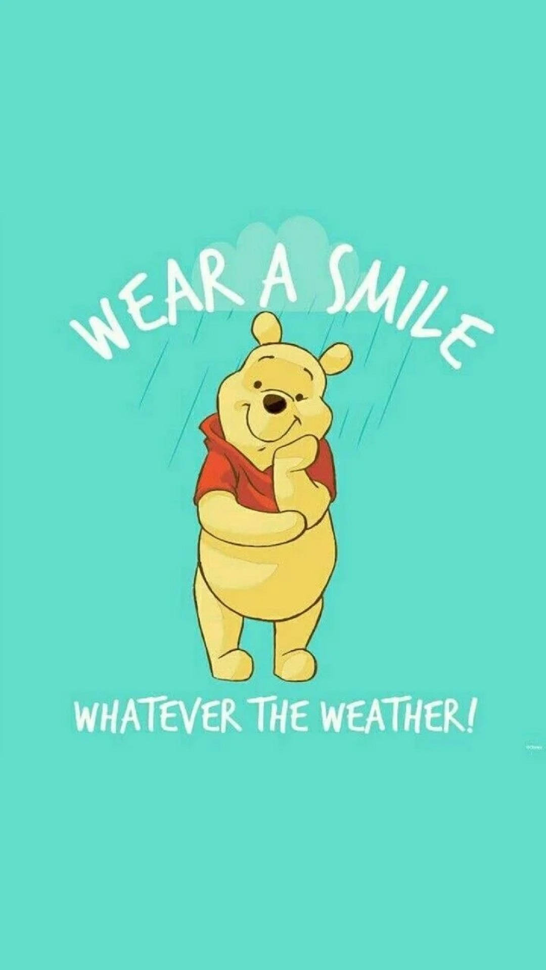 Winnie The Pooh, smiles cheerfully, rain, Full HD Phone Wallpaper