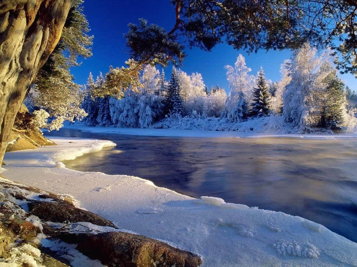 Winter Beach, snow-covered trees, winter river, SD Desktop Wallpaper