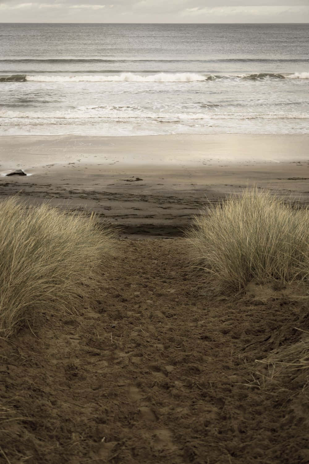 Winter Beach, Sunset, ocean, HD Phone Wallpaper