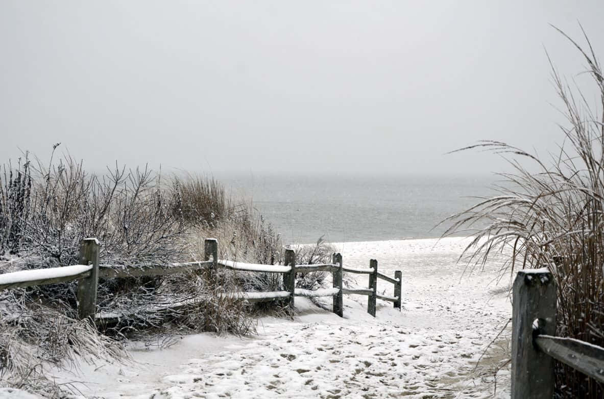 snow-covered wooden fence, frozen beach, misty ocean, SD Desktop Wallpaper