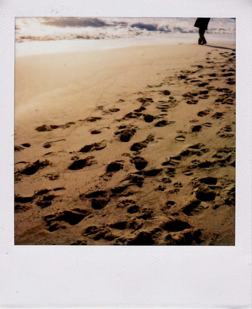 winter beach, golden sand, cloudy sky, SD Phone Wallpaper