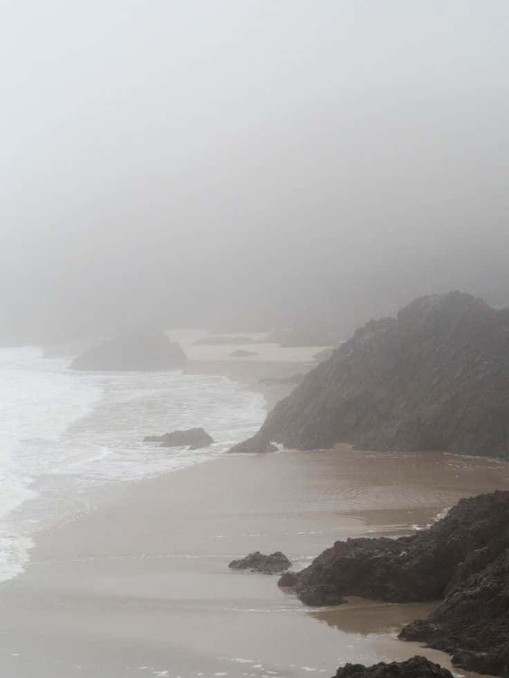 Winter Beach, misty coastal beach, waves crashing, SD Phone Wallpaper