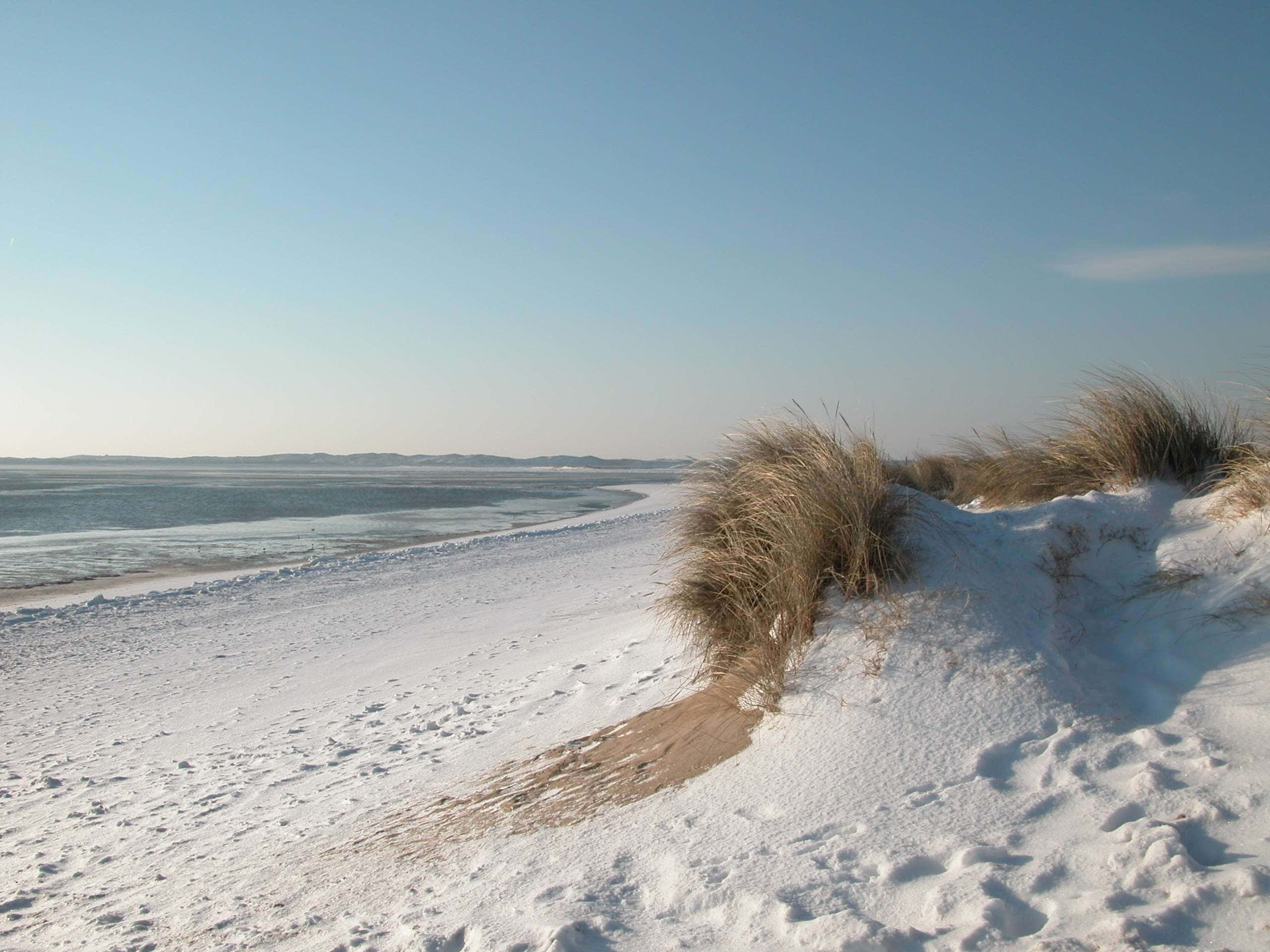 Winter Beach, snow, windswept beach, 2K Desktop Wallpaper
