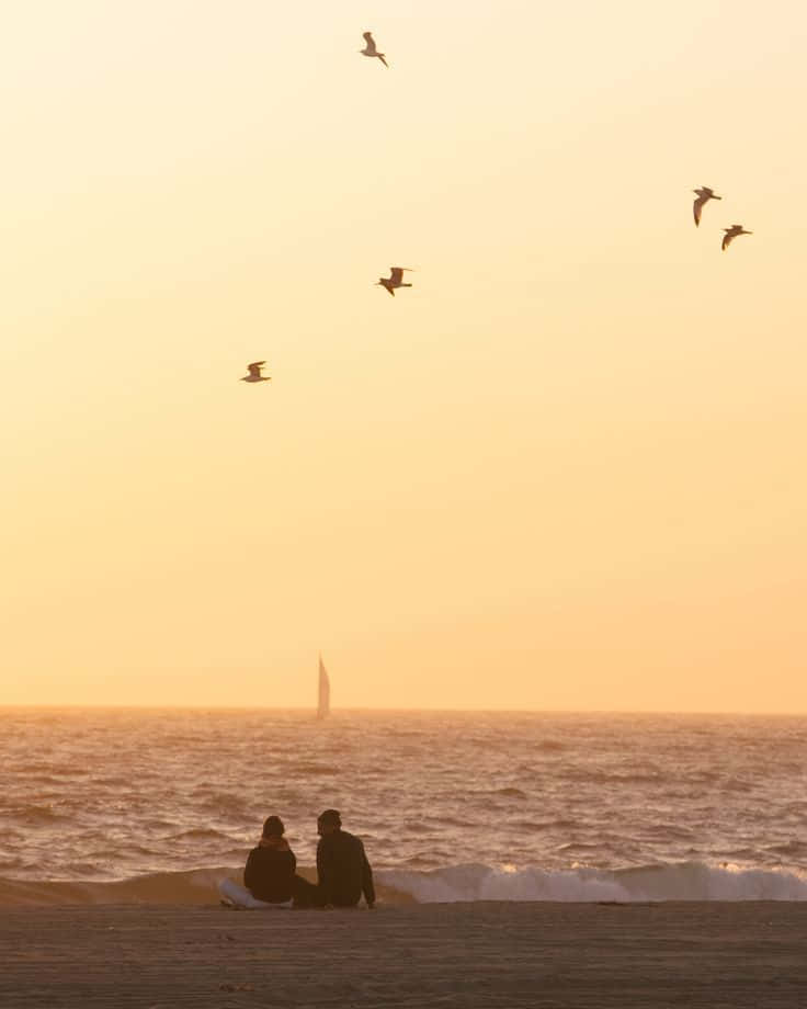 Winter Beach, sunset, beach, SD Phone Wallpaper
