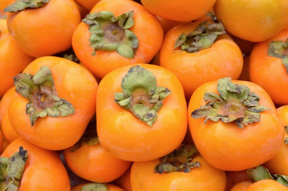Winter Fruits, persimmons, orange, SD Desktop Wallpaper