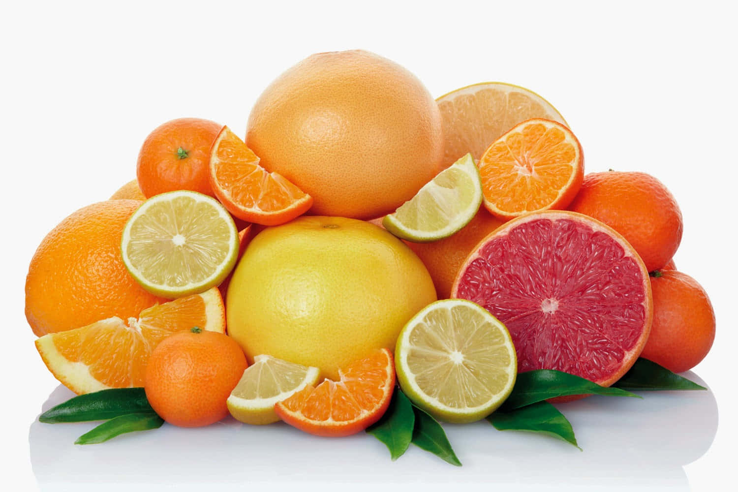 Winter Berries, citrus fruits, oranges, HD Desktop Wallpaper