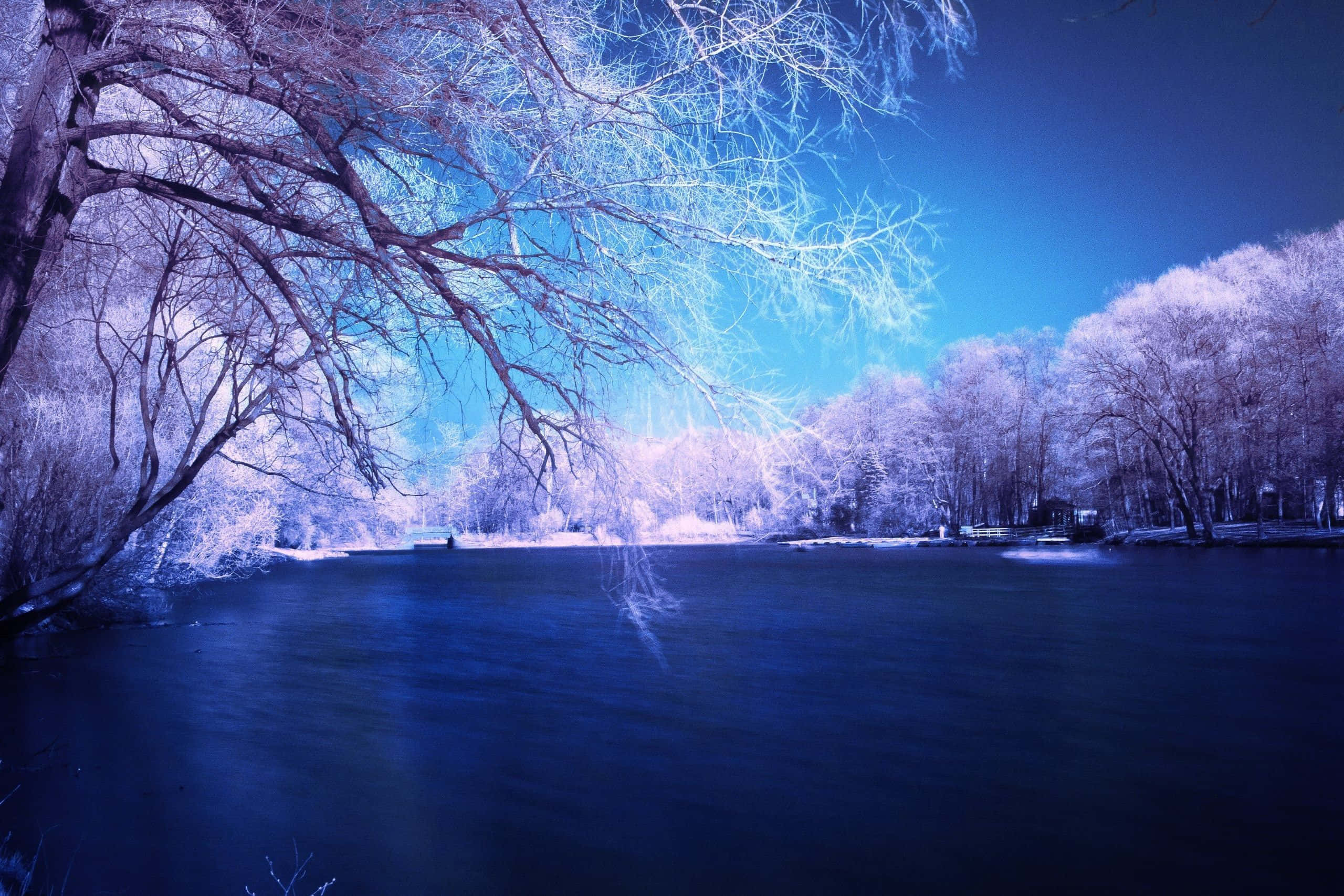 Winter Blues, frozen river, deep blue sky, 2K Desktop Wallpaper