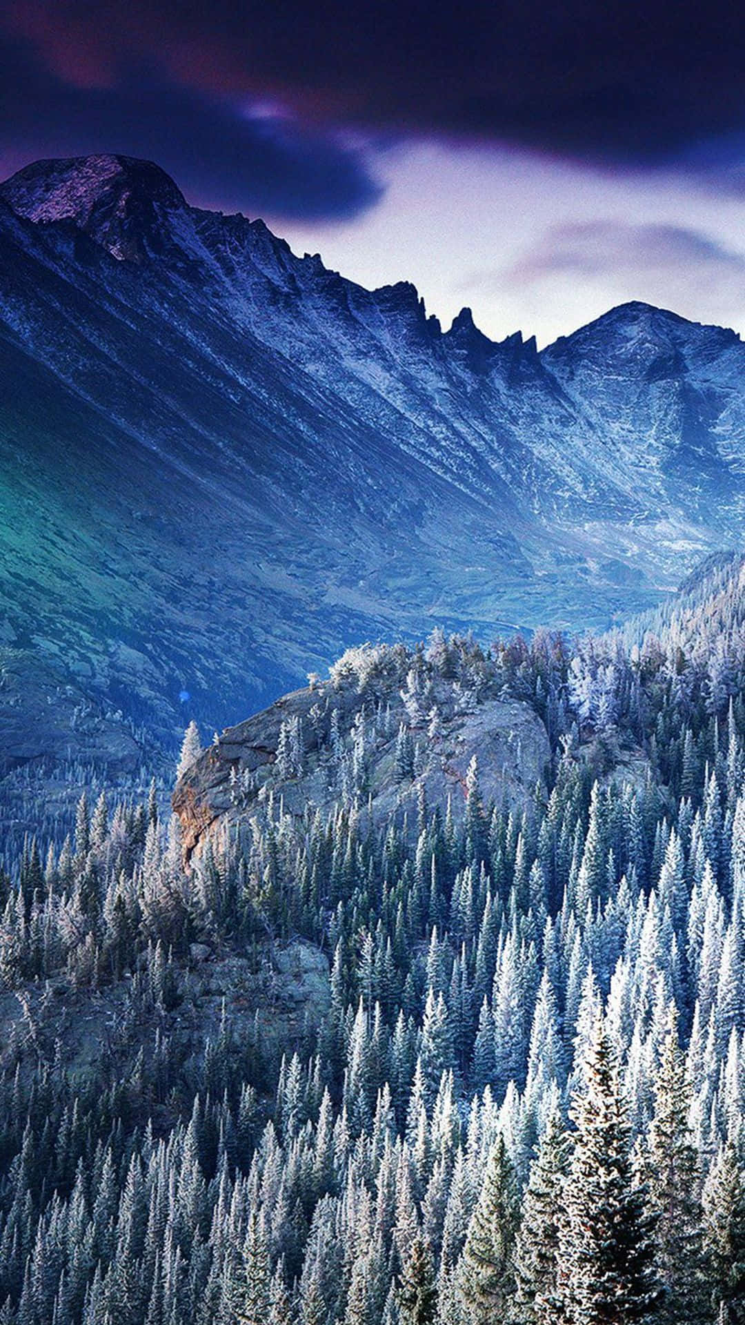 Winter Blues, snow-dusted pine trees, rugged mountains, Full HD Phone Wallpaper