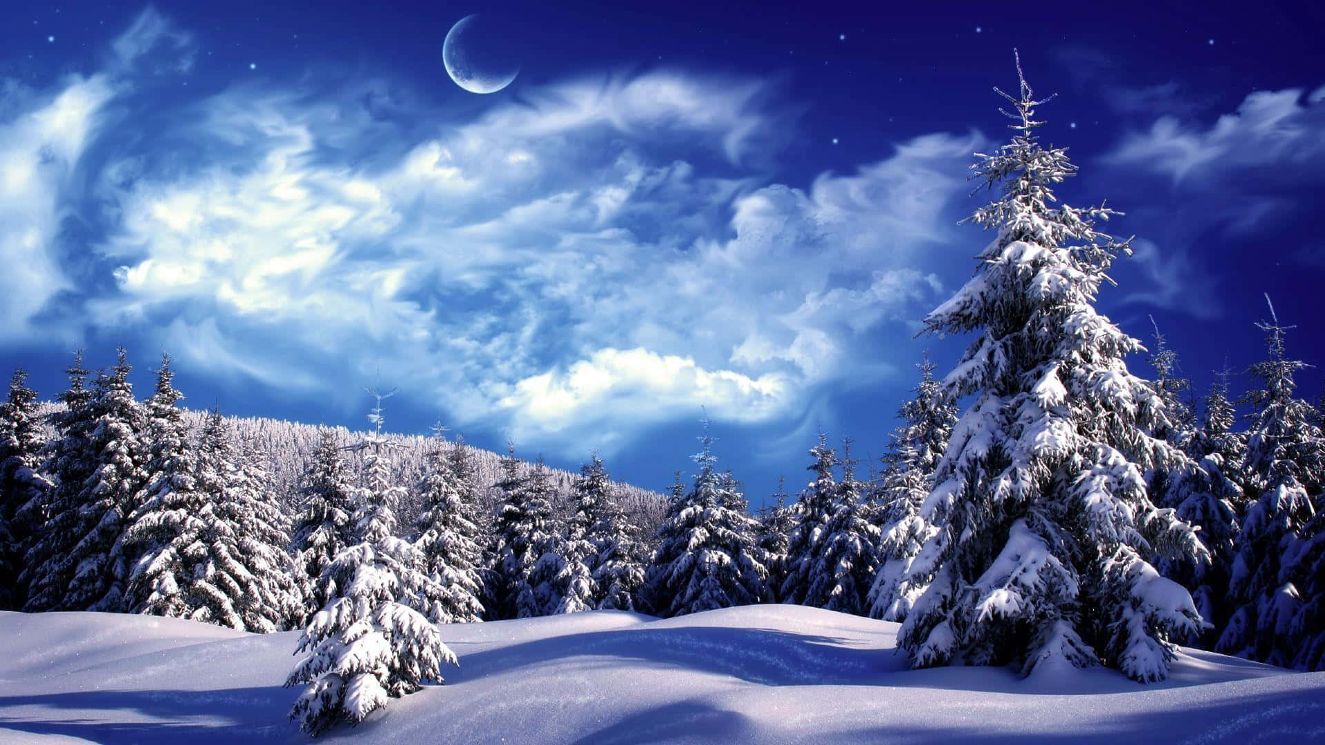 Winter Blues, snow, evergreen trees, Full HD Desktop Wallpaper