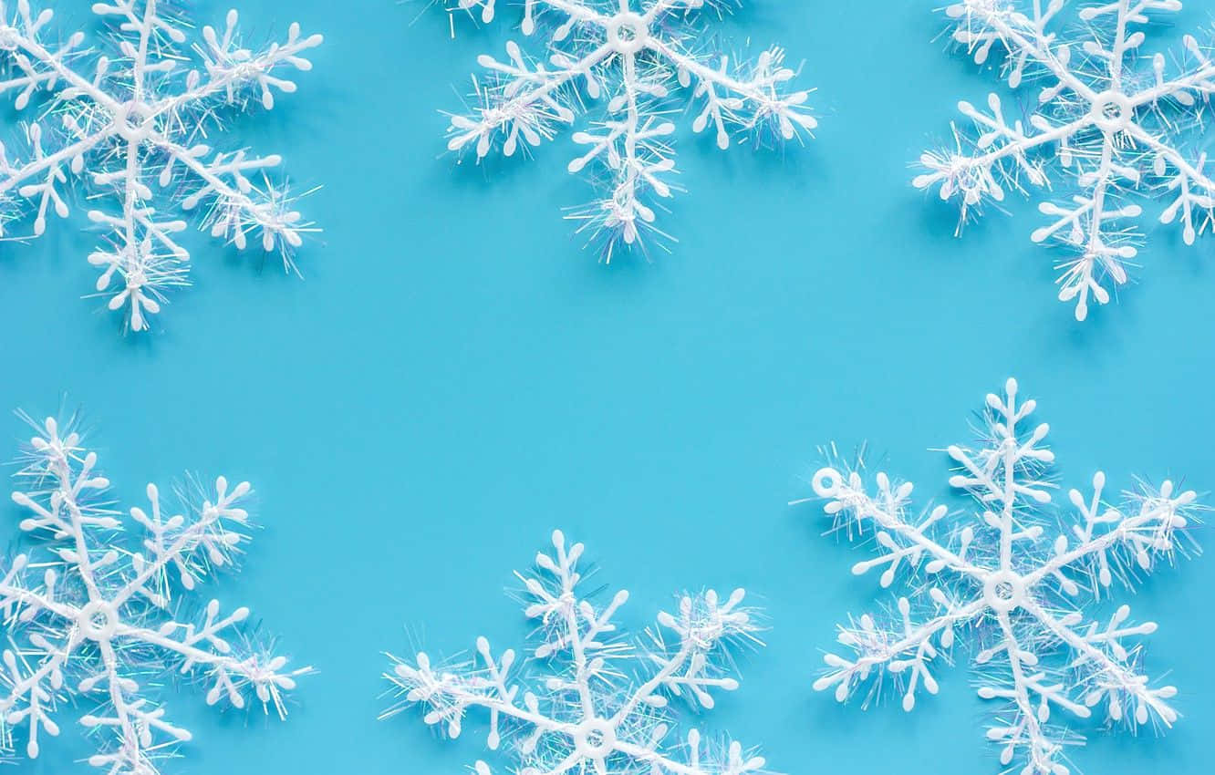 Winter Blues, snowy trees, white plastic snowflakes, HD Desktop Wallpaper