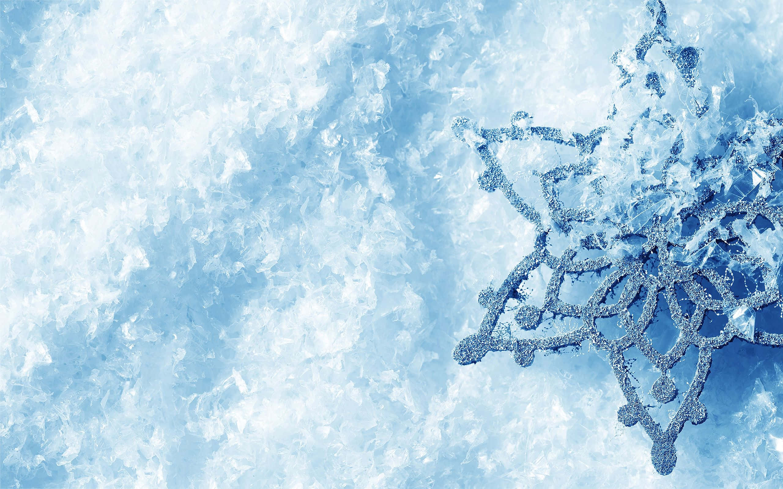 Winter Blues, snow-covered trees, icy lake, 2K Desktop Wallpaper
