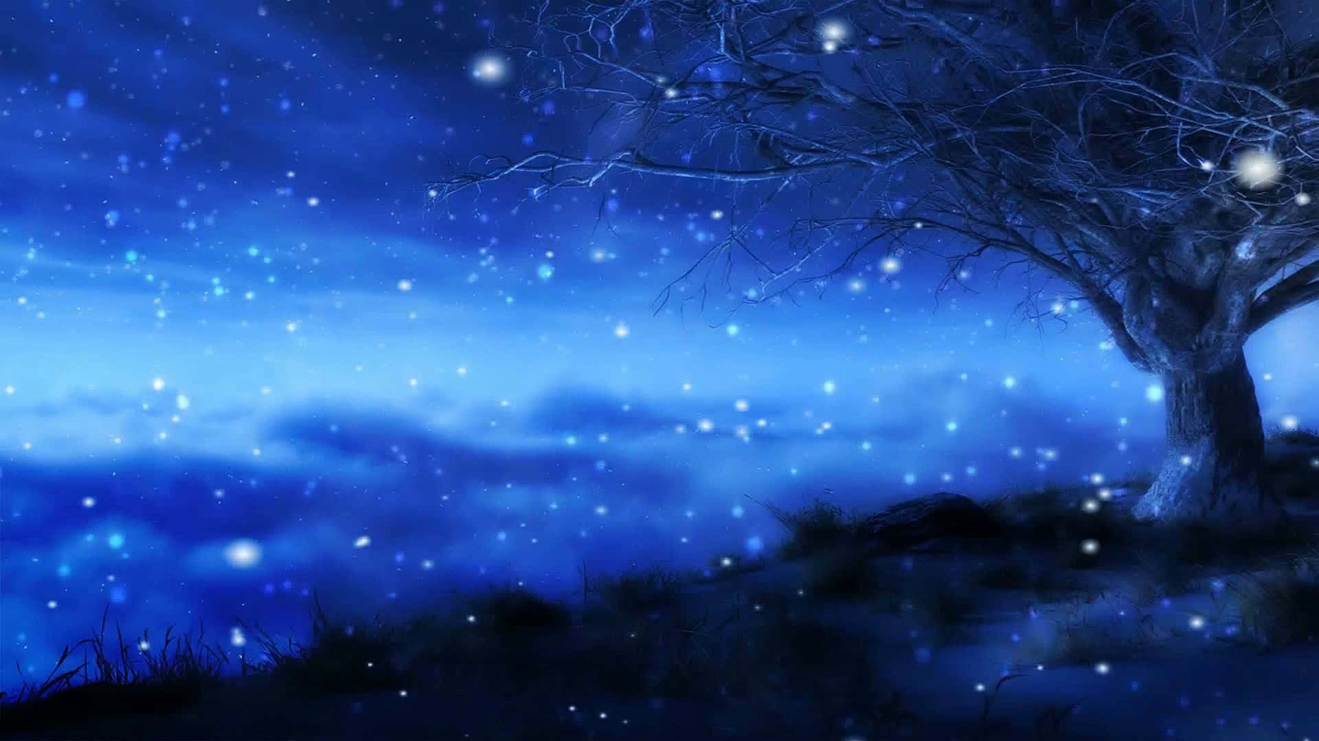 Winter Blues, starry night sky, magical blue lights, Full HD Desktop Wallpaper