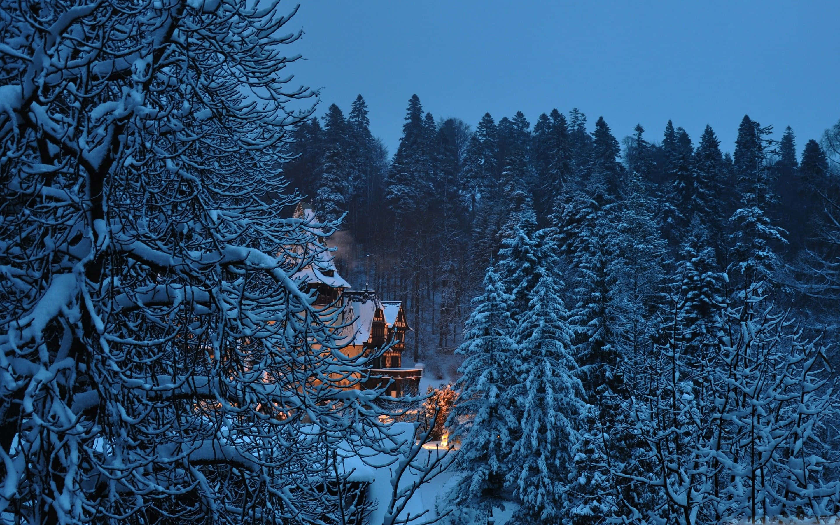 Winter Blues, snow-covered trees, winding river, 2K Desktop Wallpaper