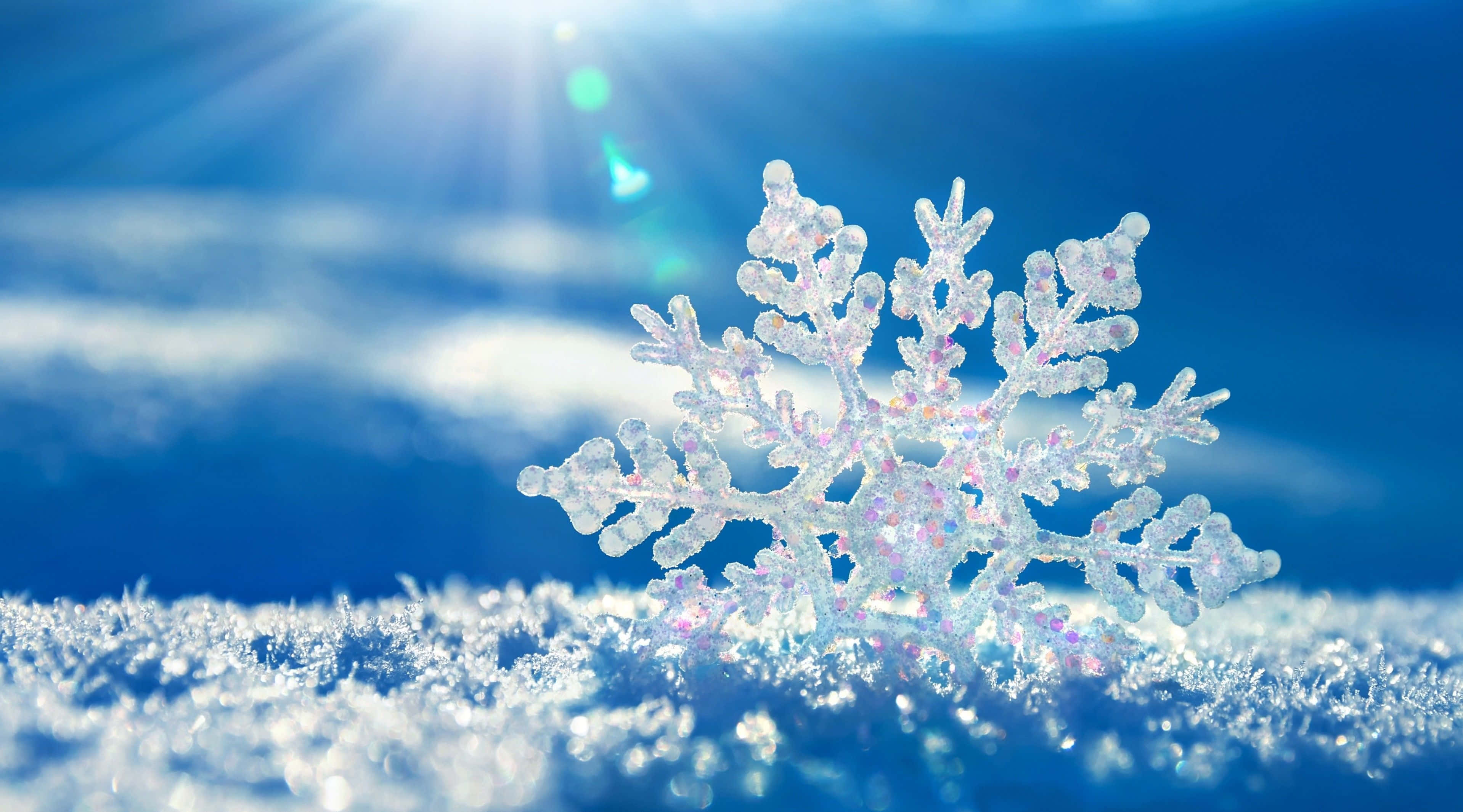 Winter Blues, snowflake, snowy ground, 2K Desktop Wallpaper