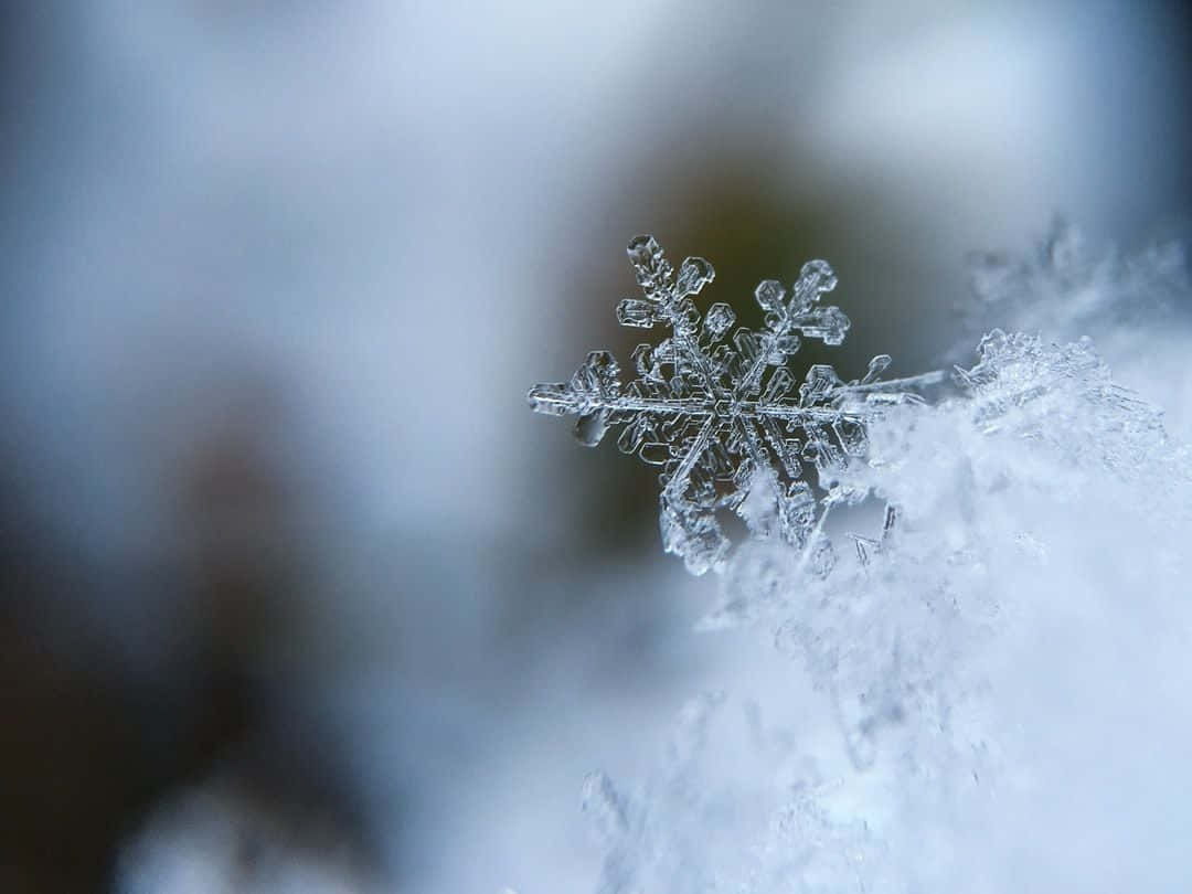 Winter Blues, snowflake, snowy surface, SD Desktop Wallpaper