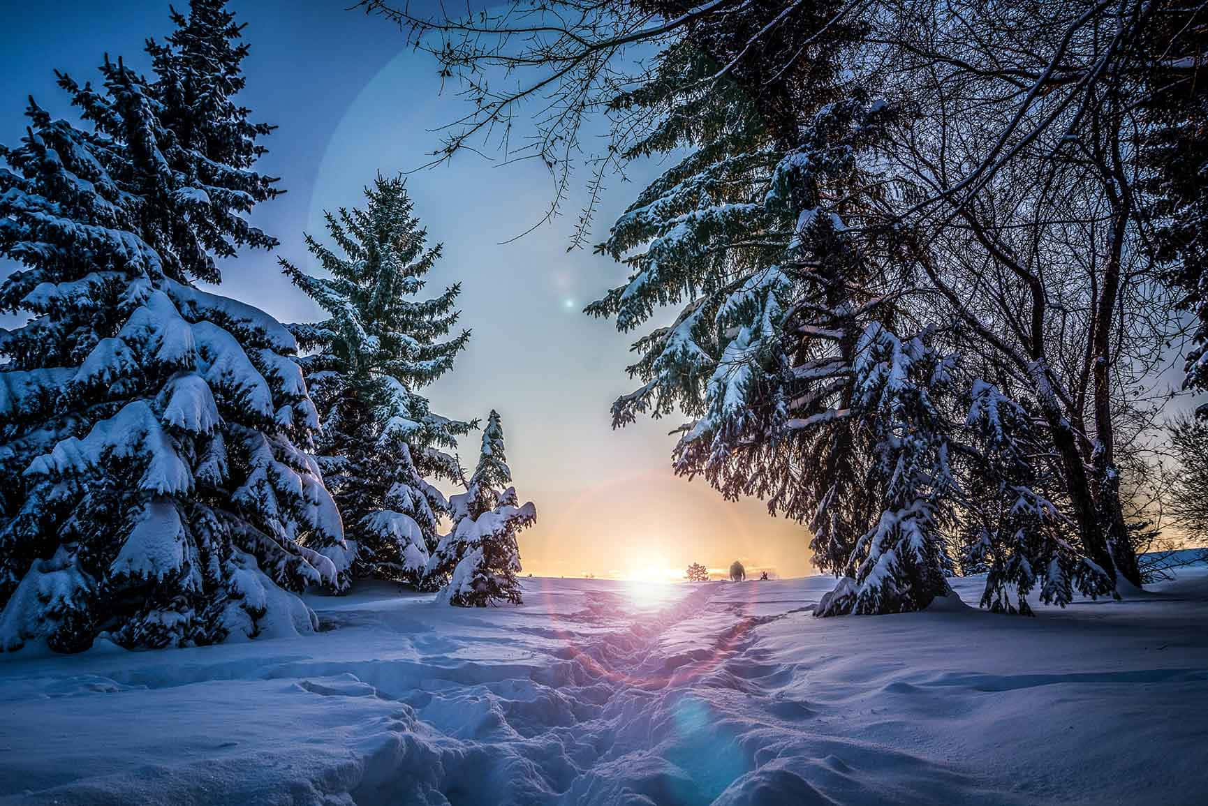 Winter Blues, Sunset, snow-laden pines, HD Desktop Wallpaper