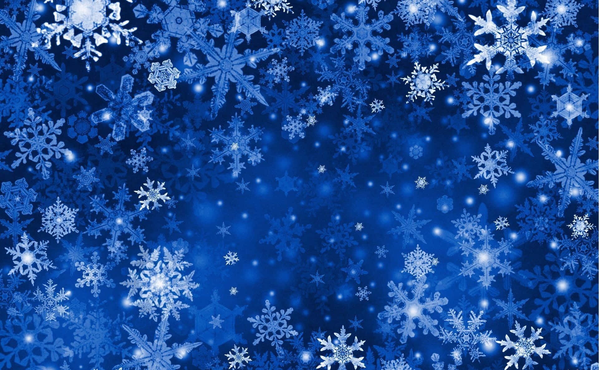 Winter Blues, snow-covered trees, frozen lake, Full HD Desktop Wallpaper