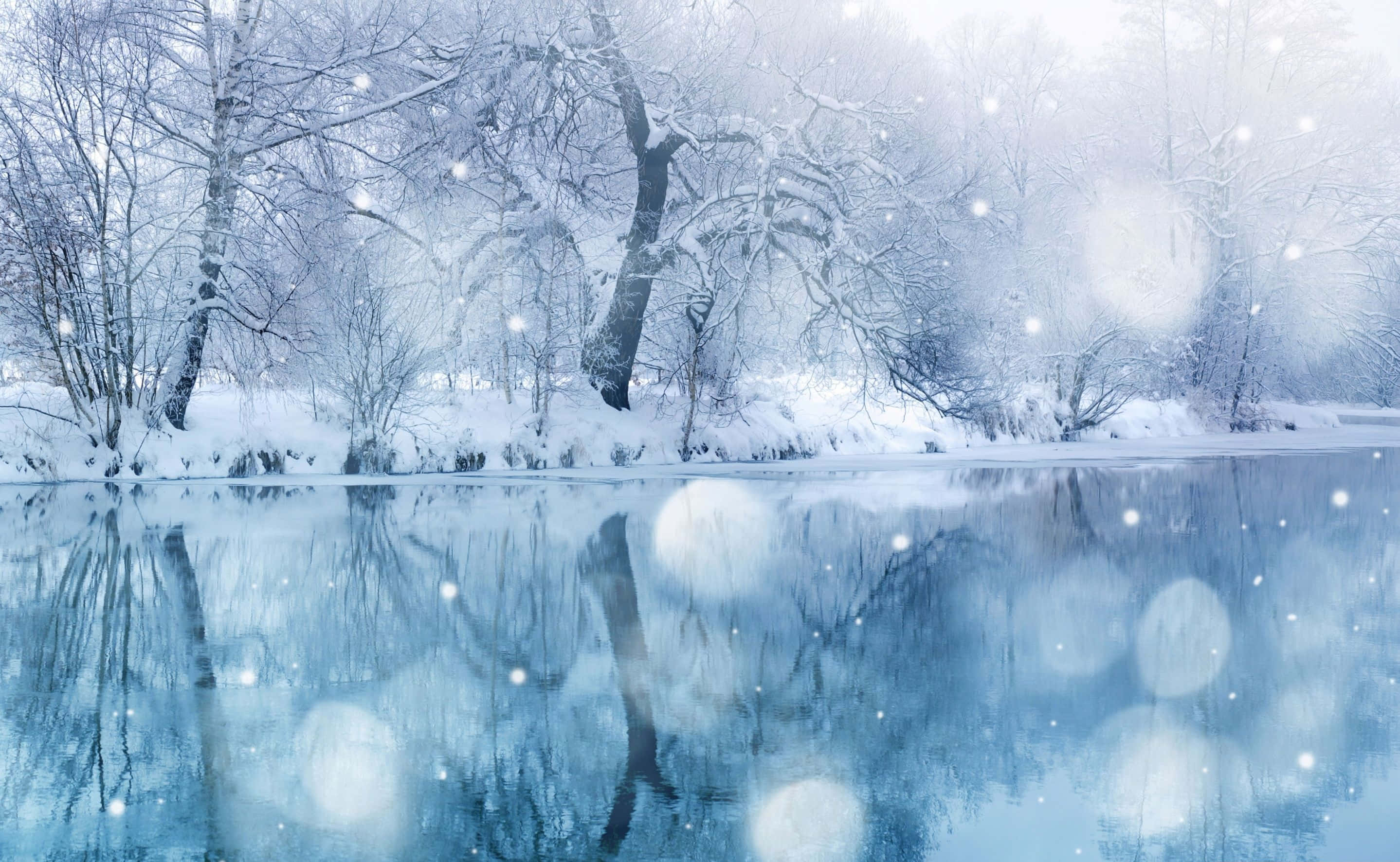 Winter Blues, snow-covered forest, bare trees, 2K Desktop Wallpaper