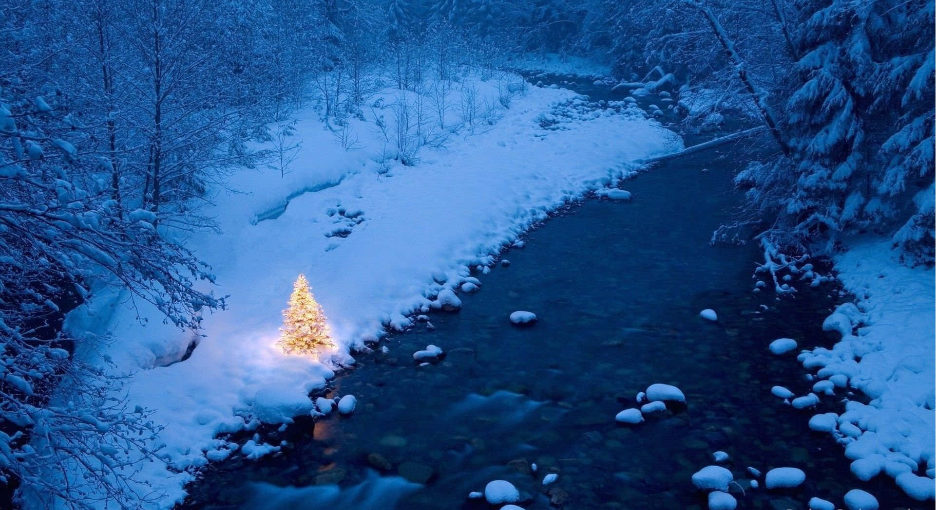 Winter Blues, Christmas tree, snowy river, Full HD Desktop Wallpaper