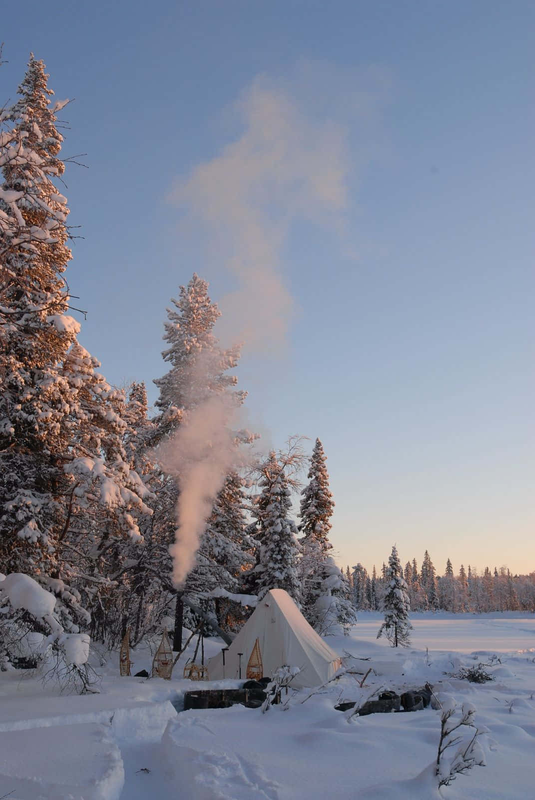 winter camping, white tent, snowy forest, HD Phone Wallpaper