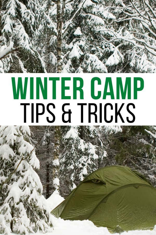 green camping tent, deep snow, snow-laden evergreen trees, SD Phone Wallpaper