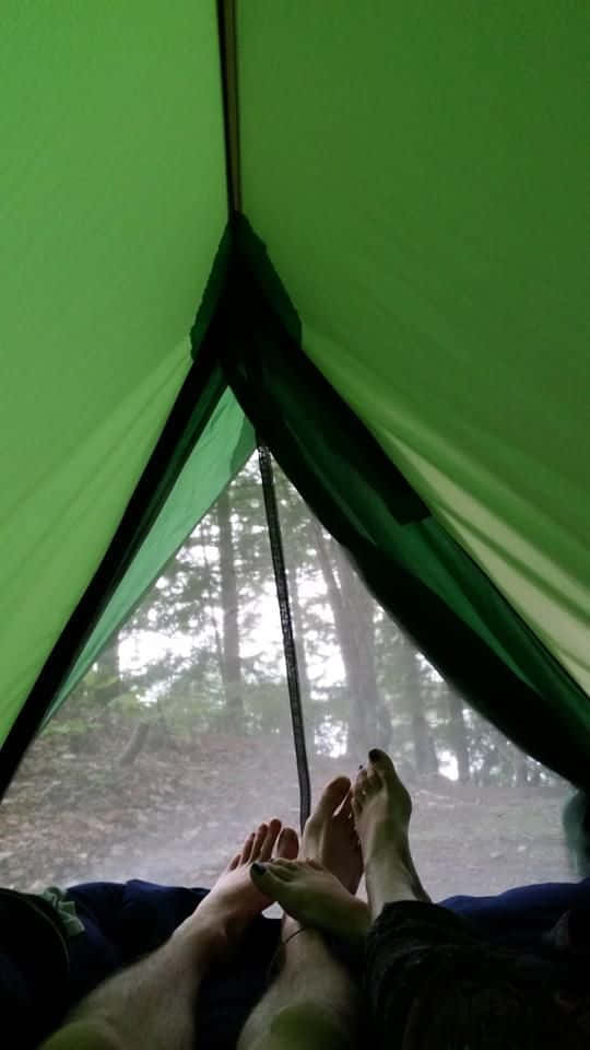 green tent, misty forest, rain-slicked mesh window, SD Phone Wallpaper