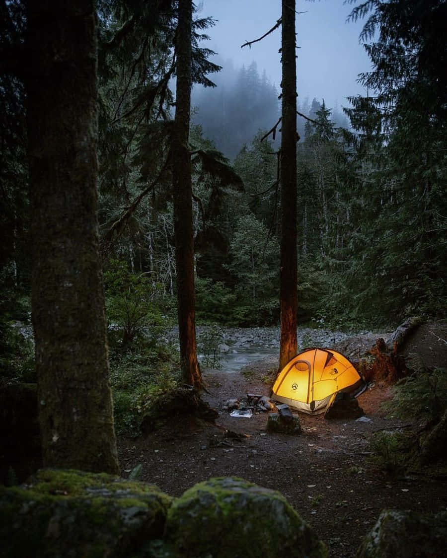 Winter Camping, glowing orange tent, misty forest, SD Phone Wallpaper