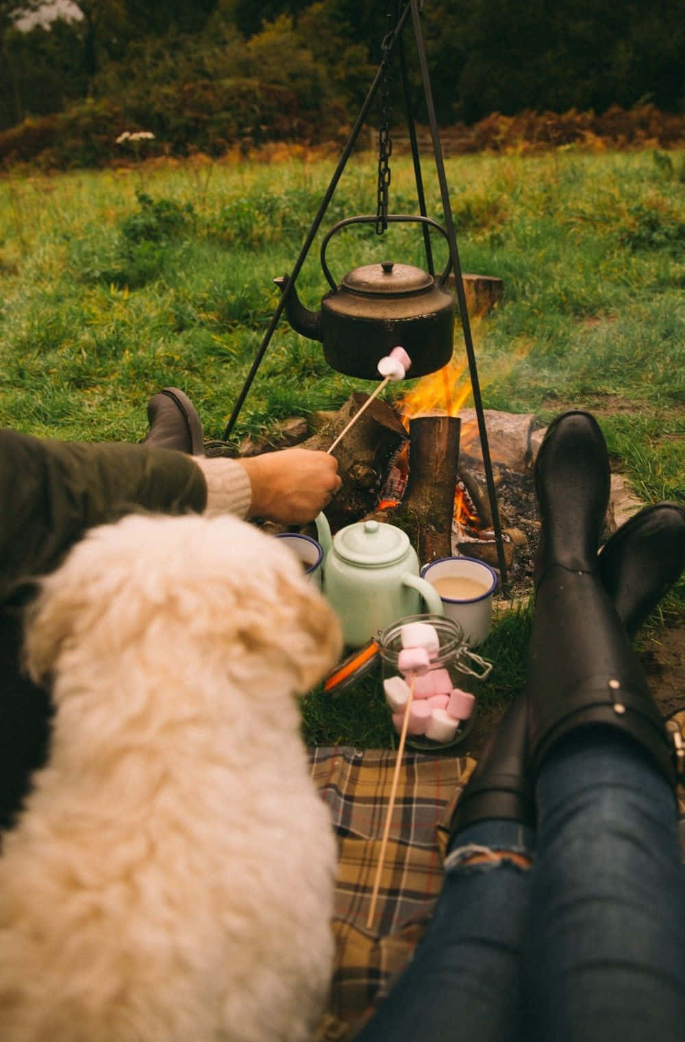 Winter Camping, cozy campfire scene, marshmallows roasting over flames, HD Phone Wallpaper
