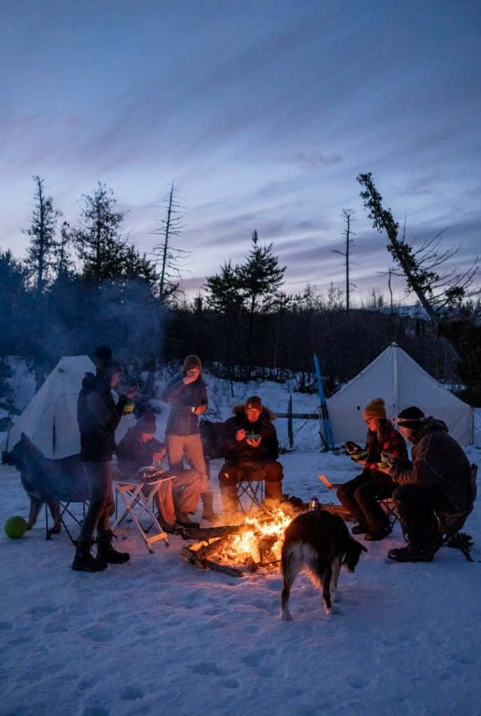 Winter Camping, crackling campfire, snowy woods, SD Phone Wallpaper