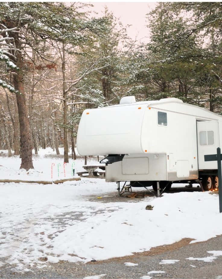 white camper trailer, snowy forest clearing, pine trees, SD Phone Wallpaper