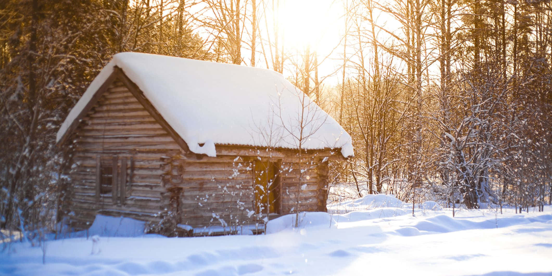 cozy winter cabin, rustic wooden cabin, snowy forest, Full HD Desktop Wallpaper