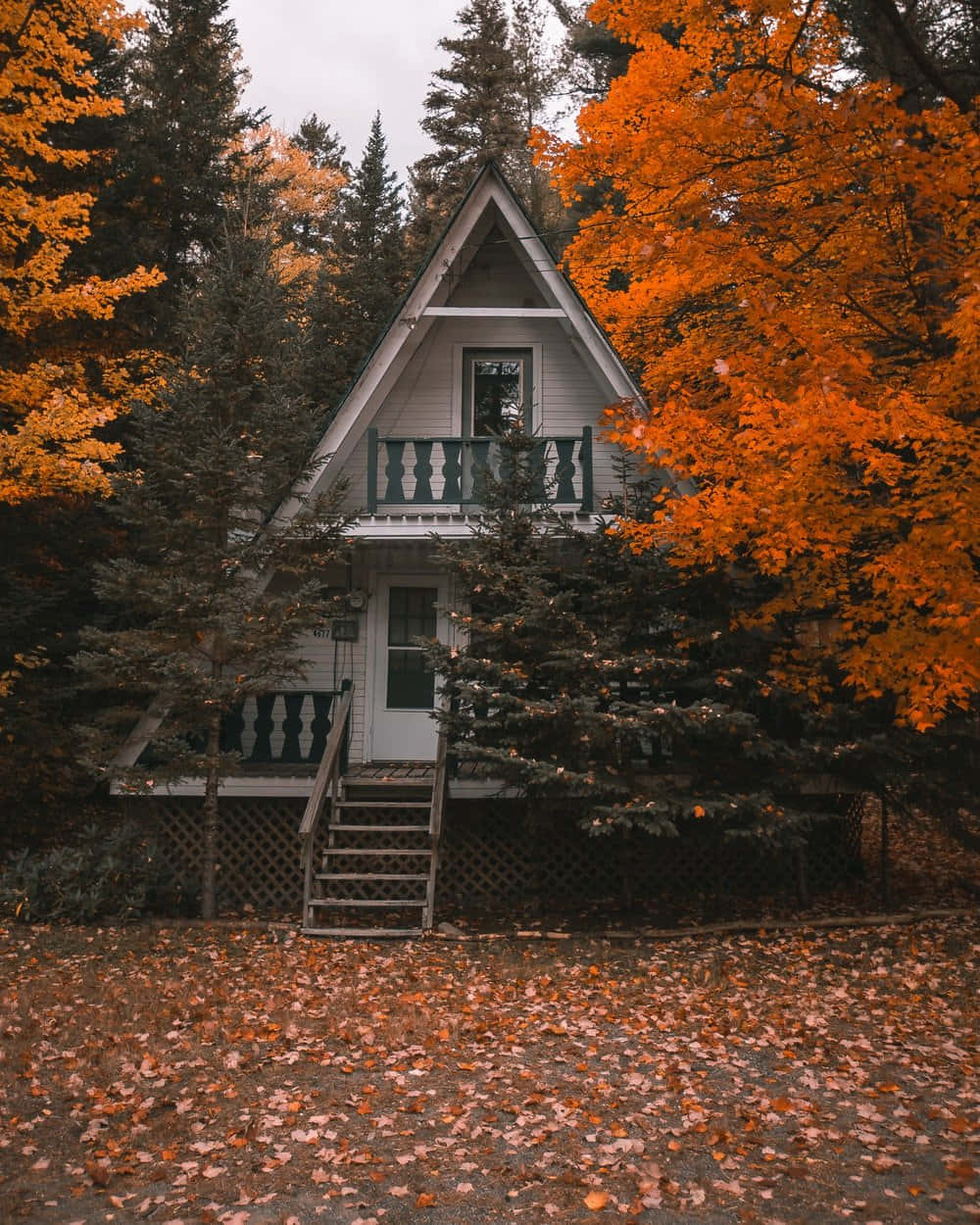 cozy winter cabin, white a-frame cabin, vibrant orange trees, SD Phone Wallpaper