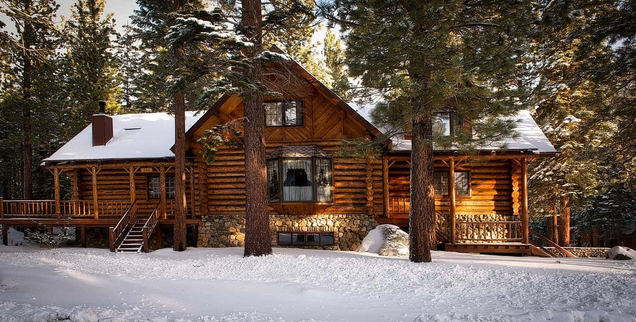 cozy wooden cabin, snow-covered pine trees, warm golden sunlight, HD Desktop Wallpaper