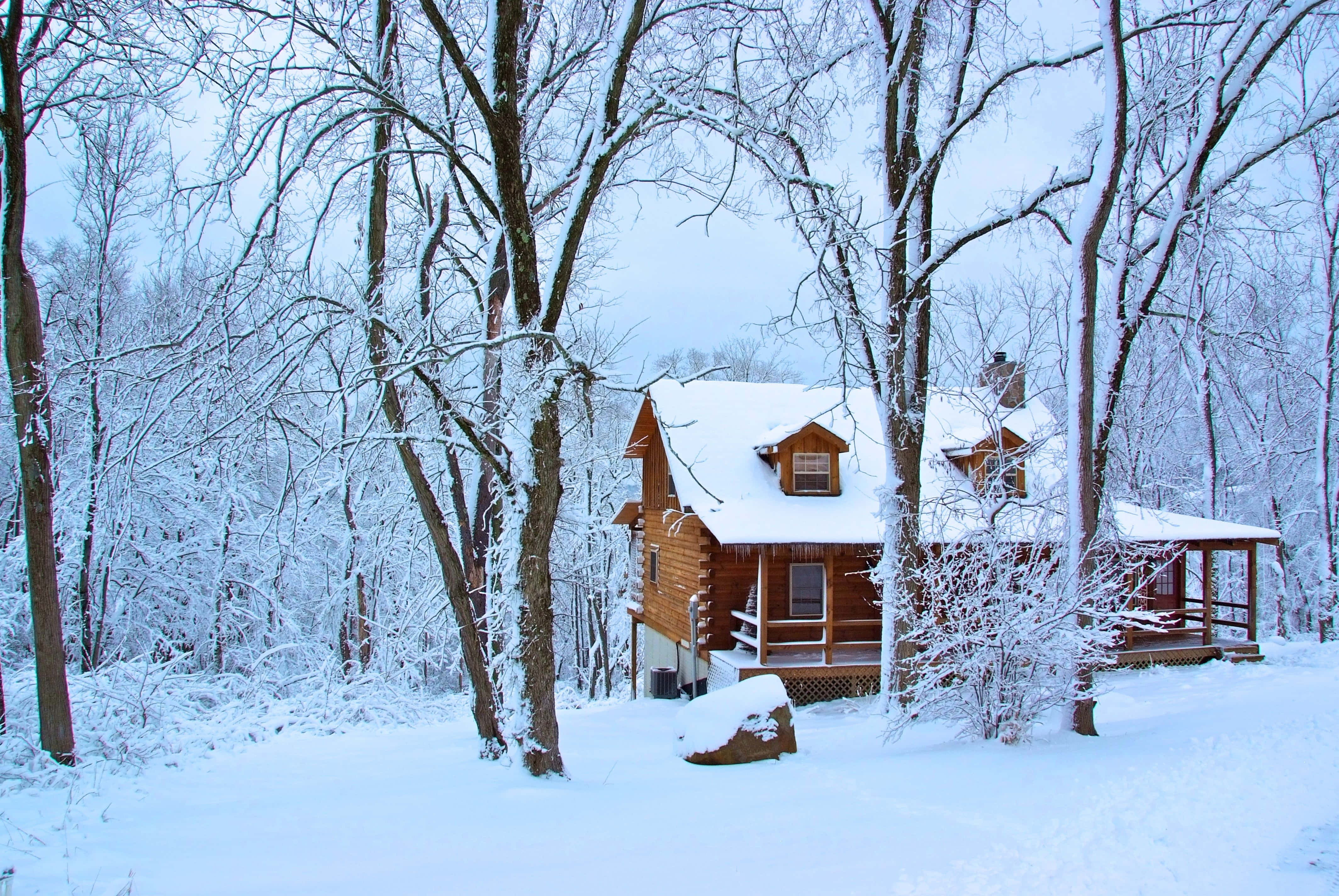 cozy wooden cabin, snowy forest, bare trees, 4K Desktop Wallpaper