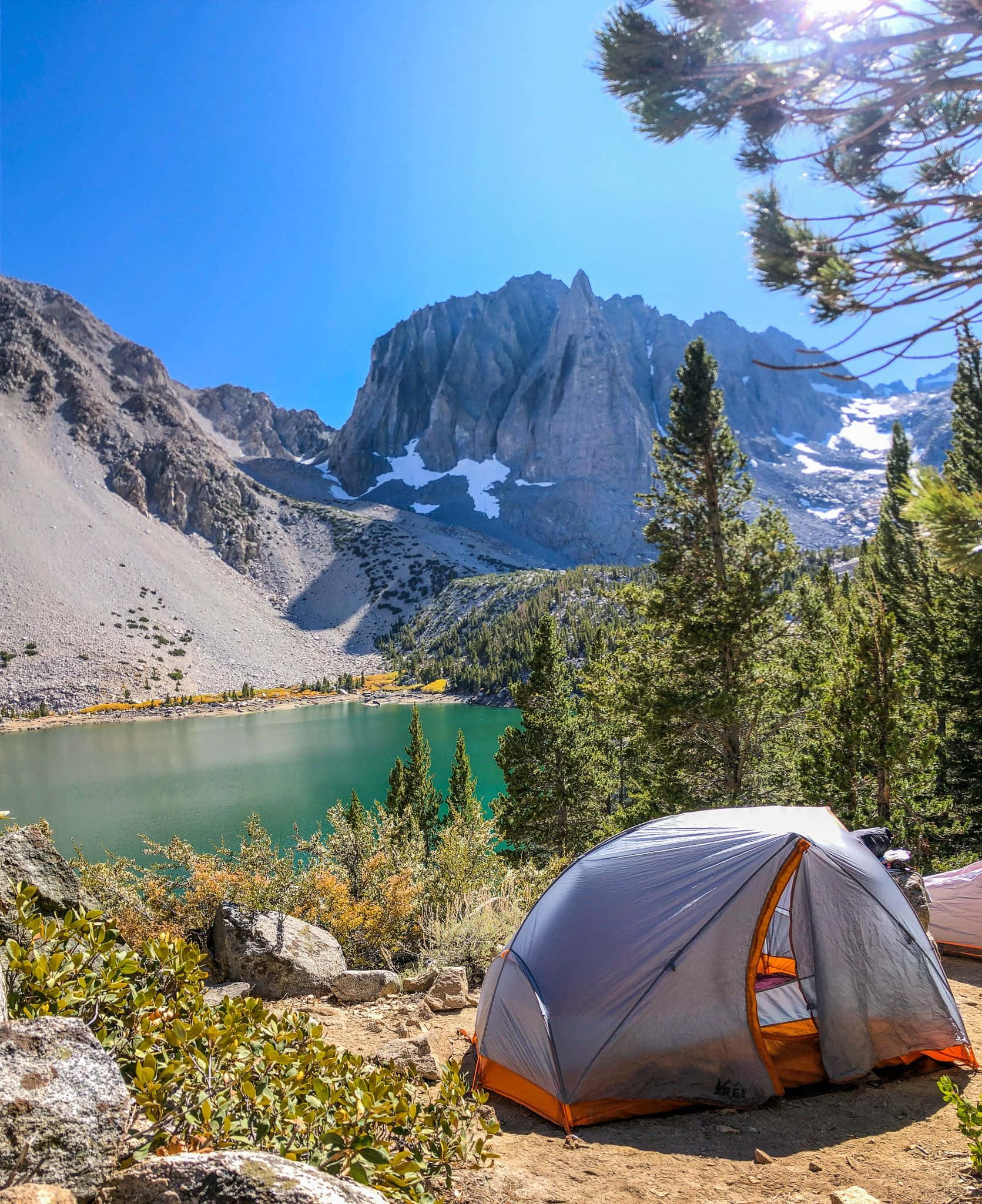 winter camping, gray and orange tent, pine trees, Full HD Phone Wallpaper