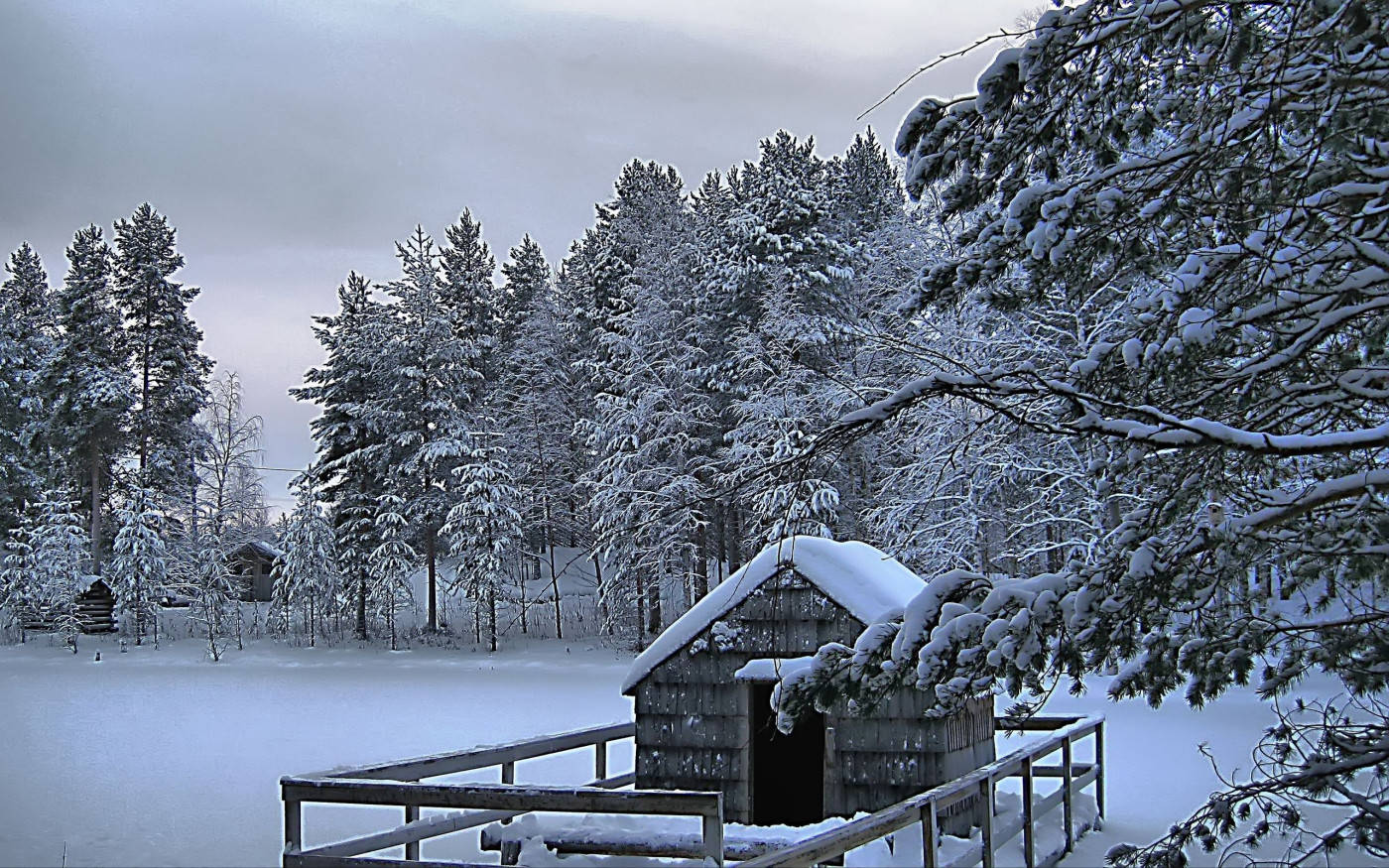 snow-covered wooden cabin, frozen lake, evergreen trees, HD Desktop Wallpaper