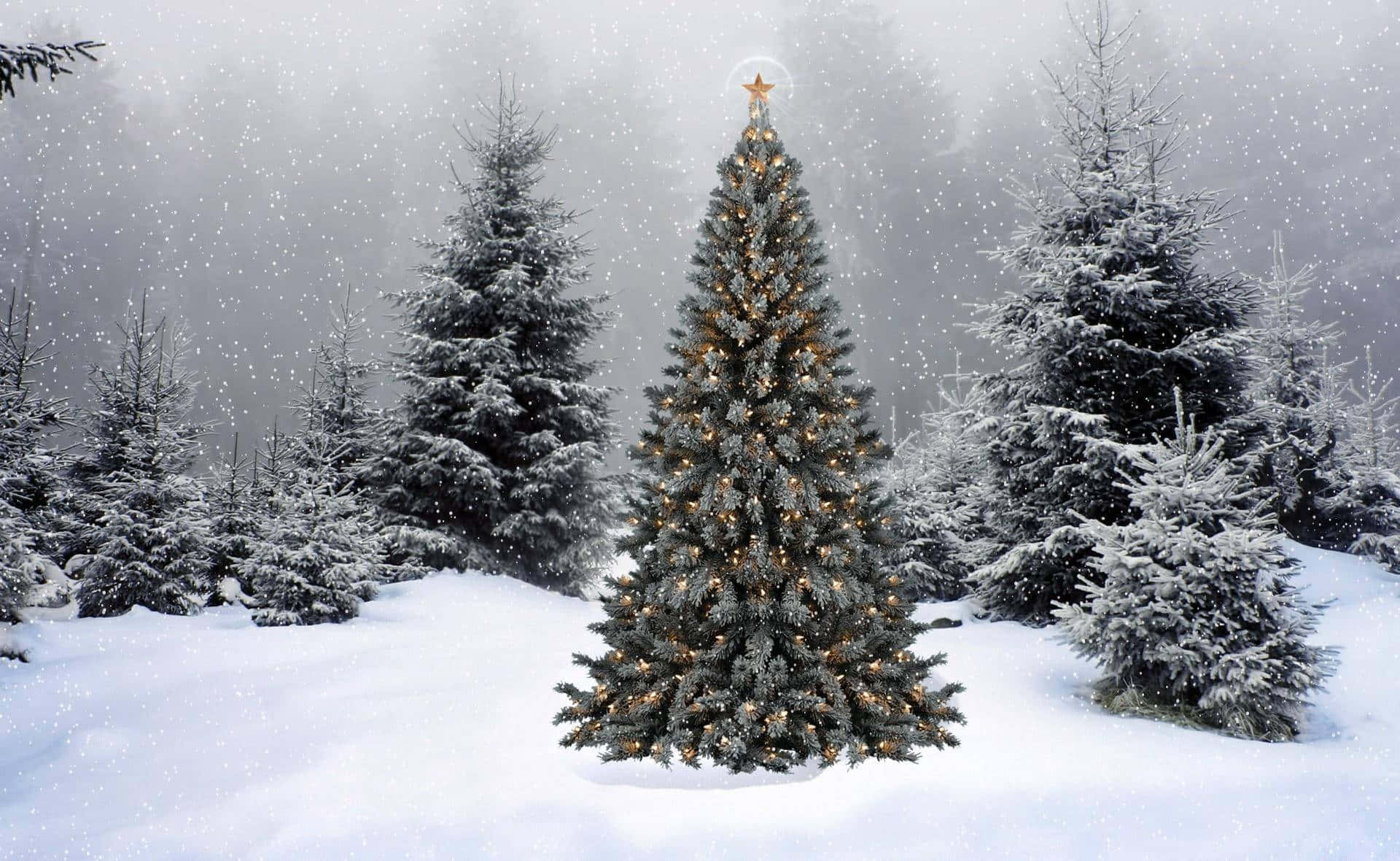 winter christmas desktop, snow-covered Christmas tree, warm lights, Full HD Desktop Wallpaper