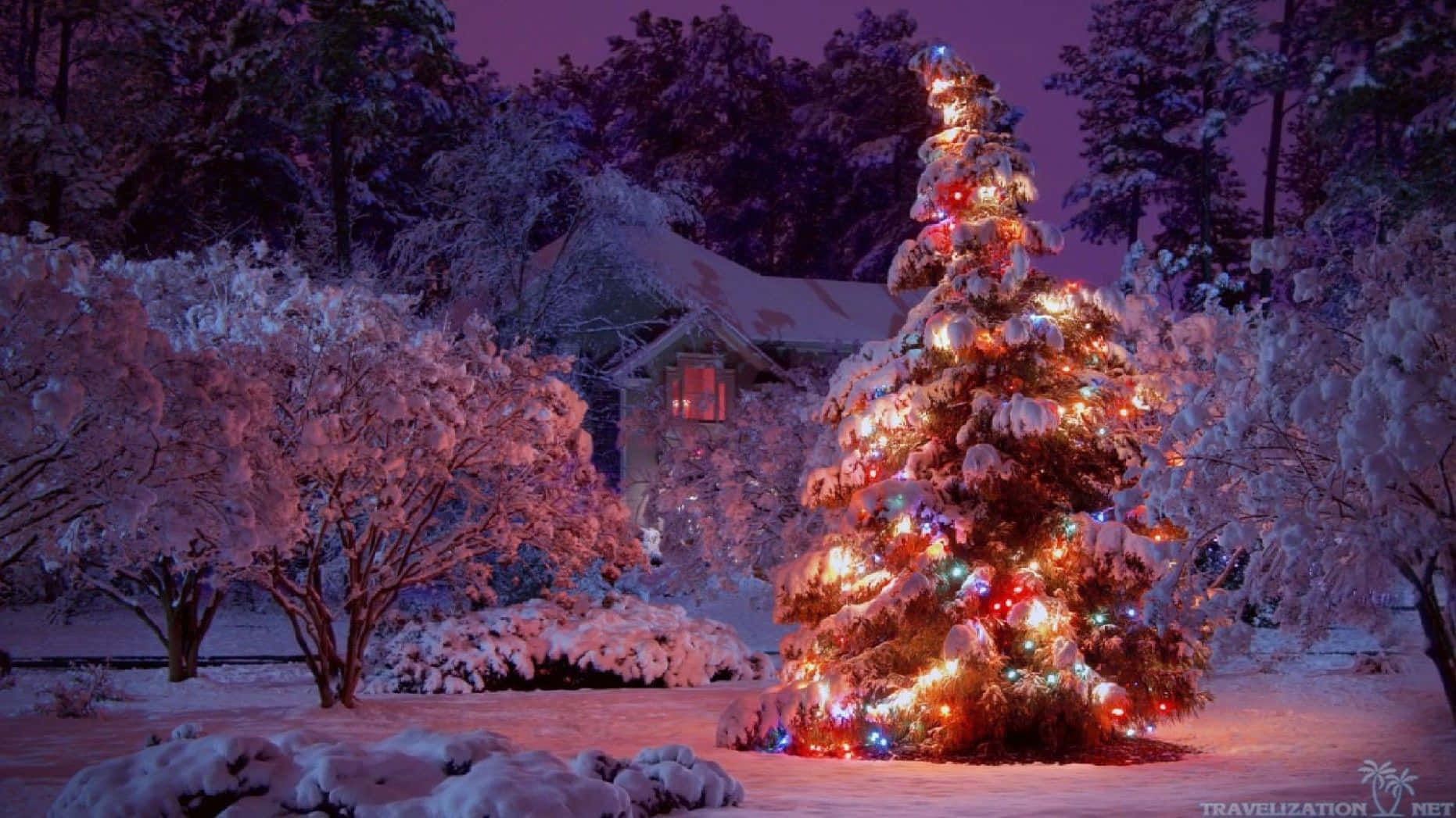 Christmas tree, snow-covered, colorful lights, HD Desktop Wallpaper