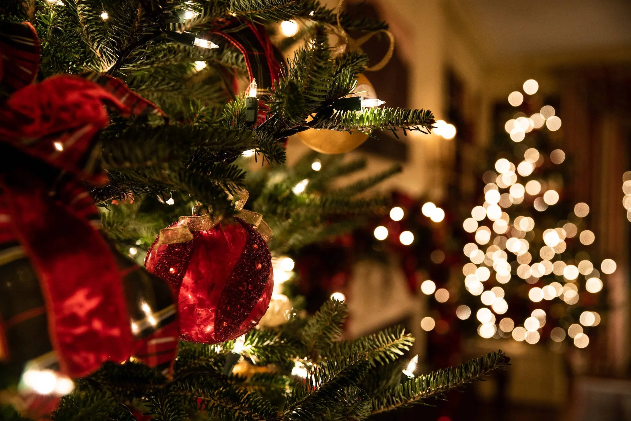 Christmas tree, red ornaments, twinkling lights, Full HD Desktop Wallpaper