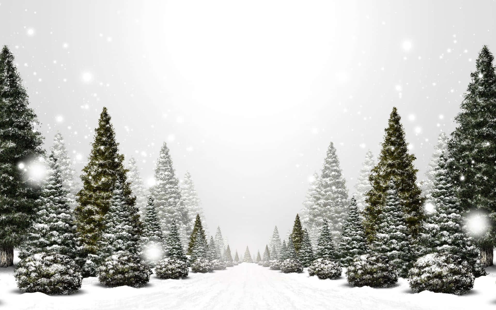 Winter Christmas Desktop, snow, evergreen trees, Full HD Desktop Wallpaper